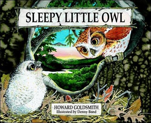 Sleepy Little Owl (Early Learners Science Through Stories) Novels & Short Stories