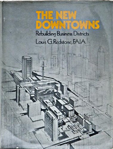 New Downtowns: Rebuilding Business Districts book