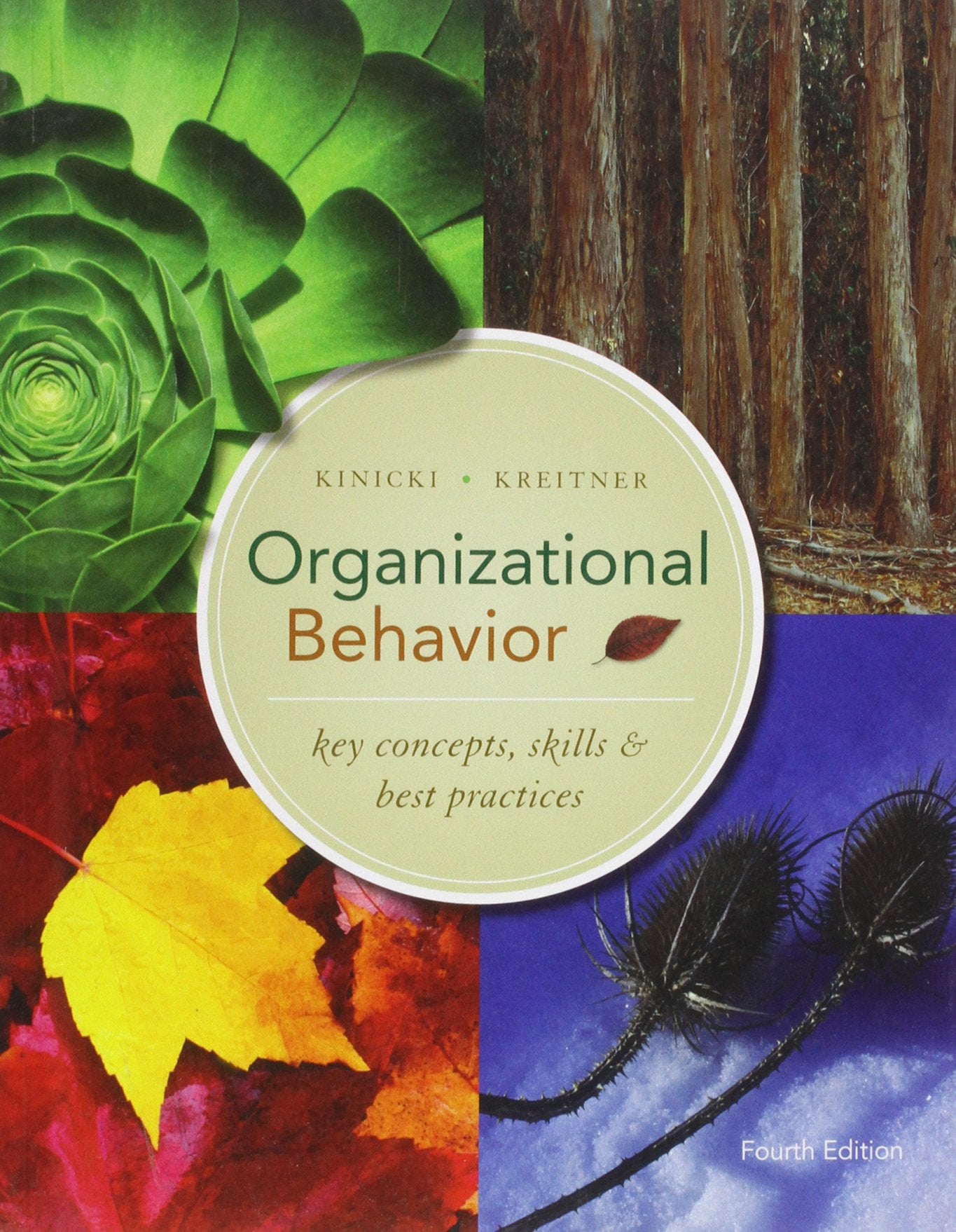Product Image: Organizational Behavior: Key Concepts, Skills & Best Practices