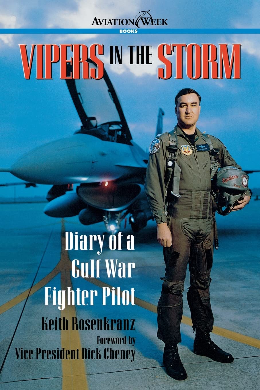 Vipers in the Storm: Diary of a Gulf War Fighter Pilot (Aviation Week Books) Memories