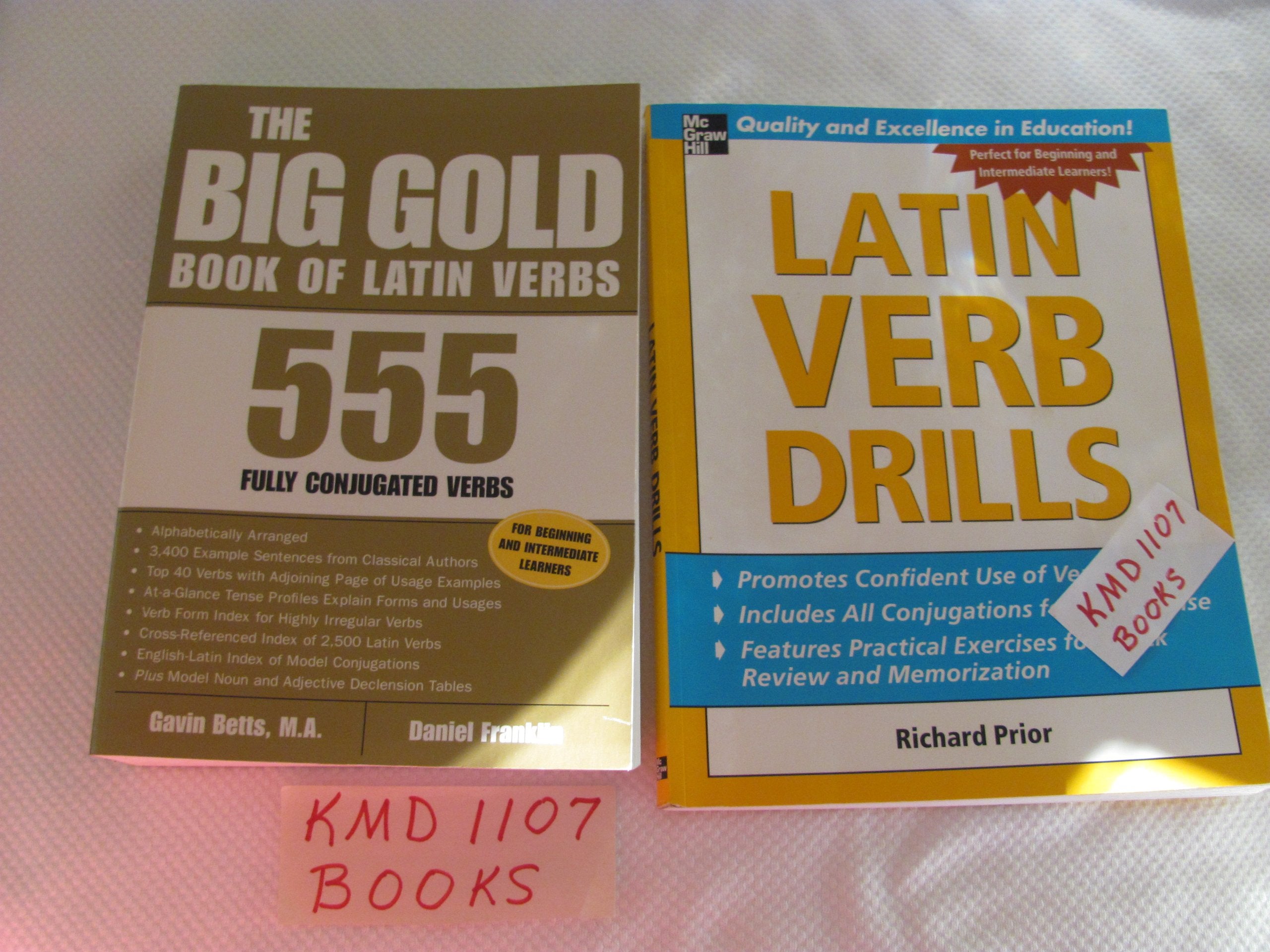 Big Gold Book of Latin Verbs: 555 Fully Conjugated Verbs General education