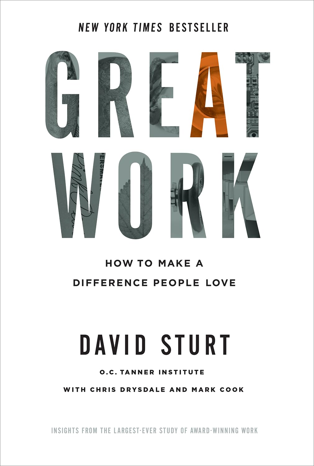 Great Work: How to Make a Difference People Love Business, Finance & Career