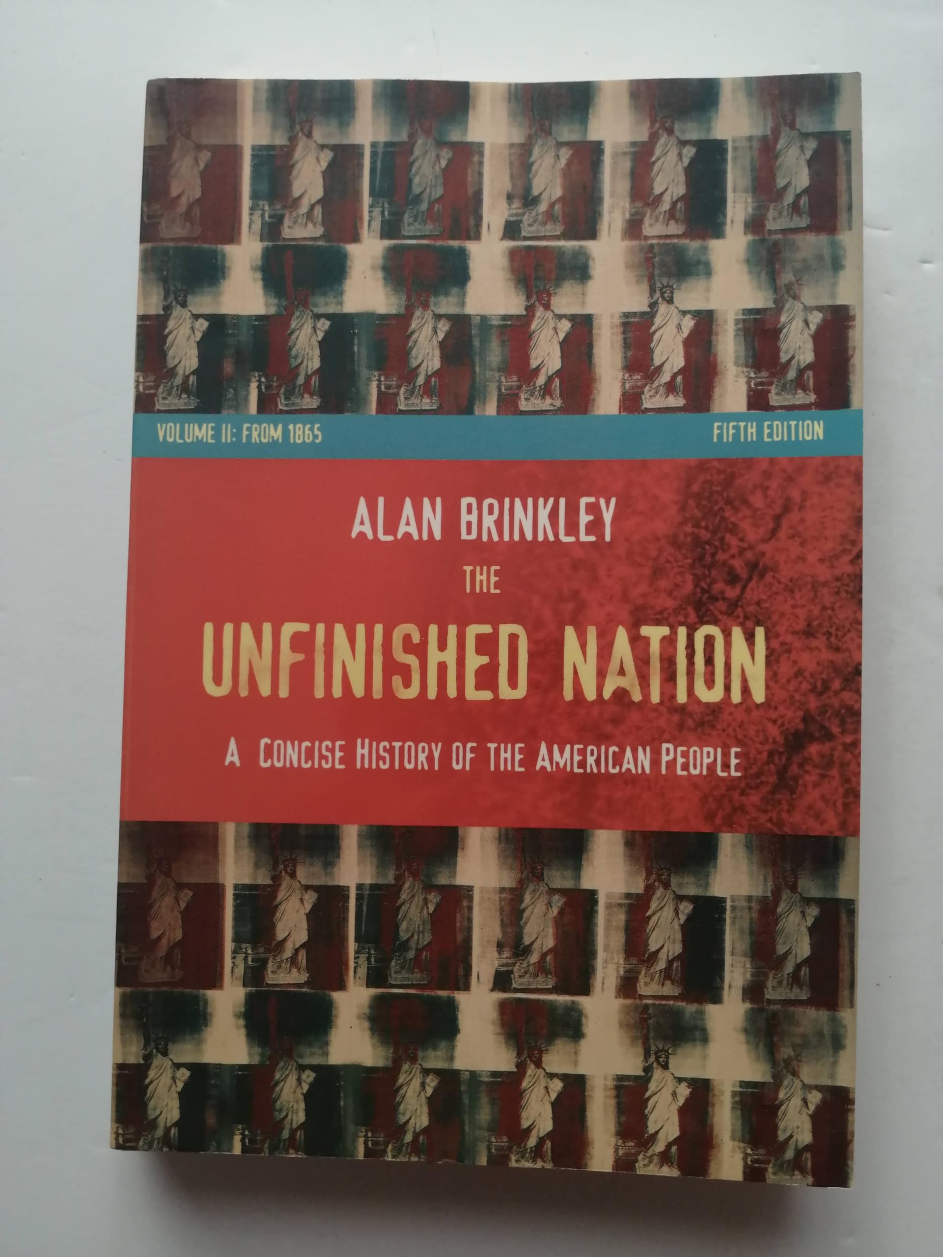 The Unfinished Nation: A Concise History of the American People: From 1865 Politics & History