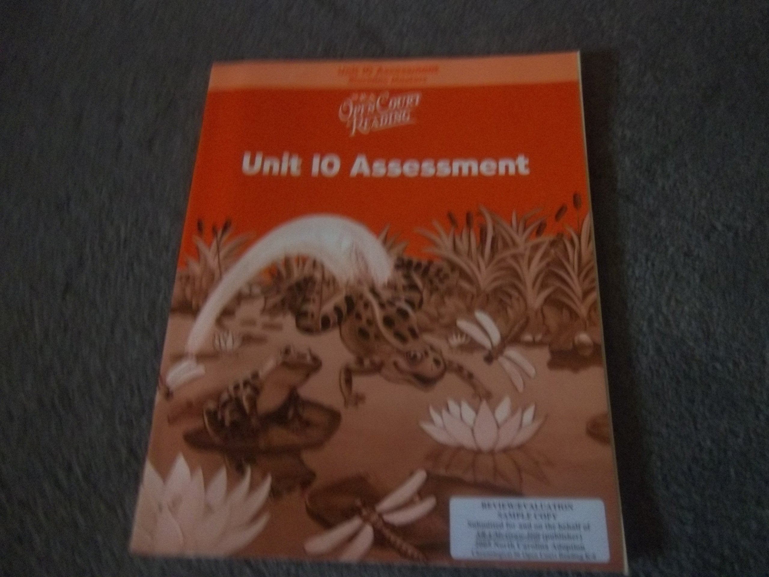 OPEN COURT READING - UNIT 10 ASSESSMENT BLACKLINE MASTERS LEVEL 1 (IMAGINE IT) Reading Aloud & Learning to Read