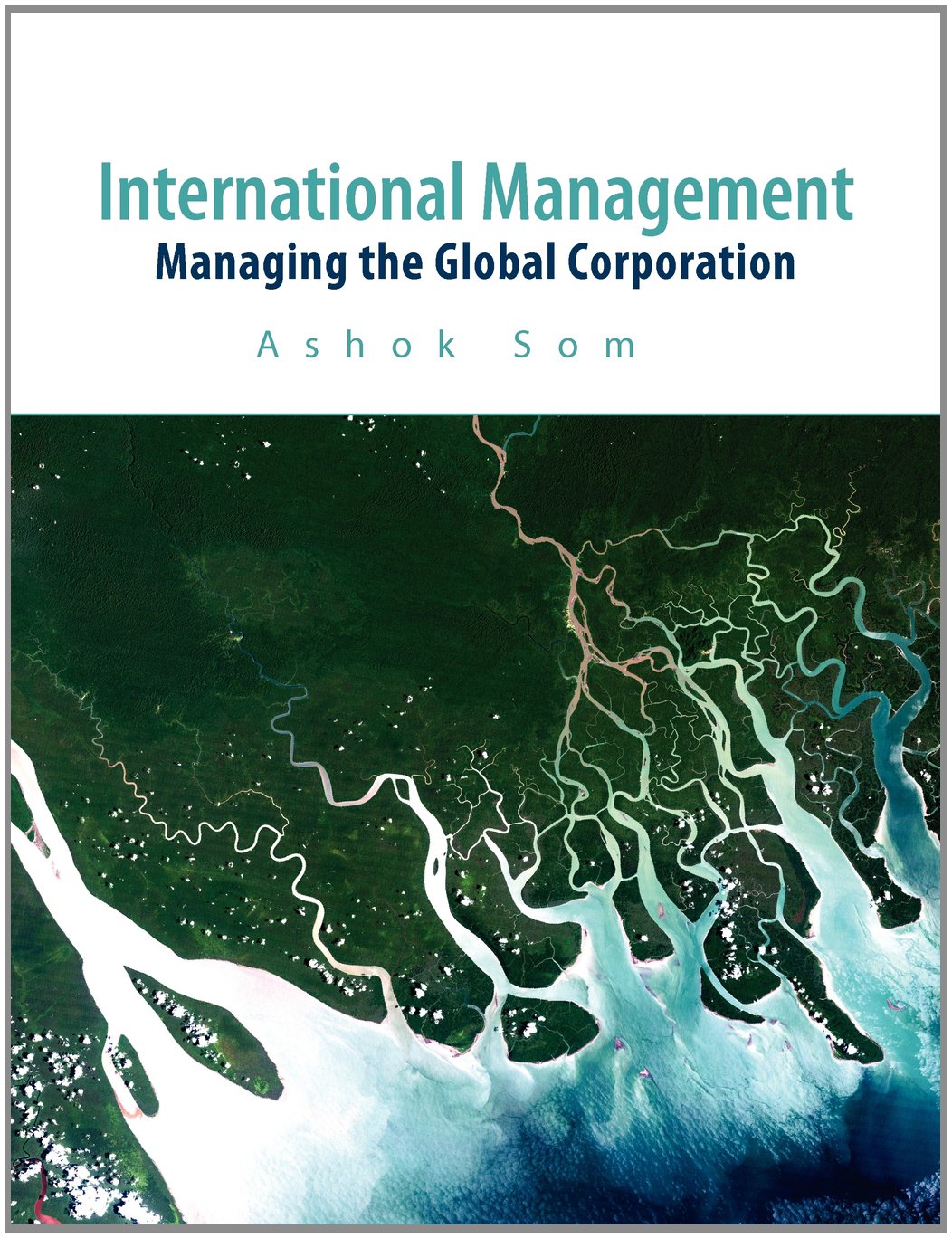 International Management: Managing the Global Corporation Business, Finance & Career