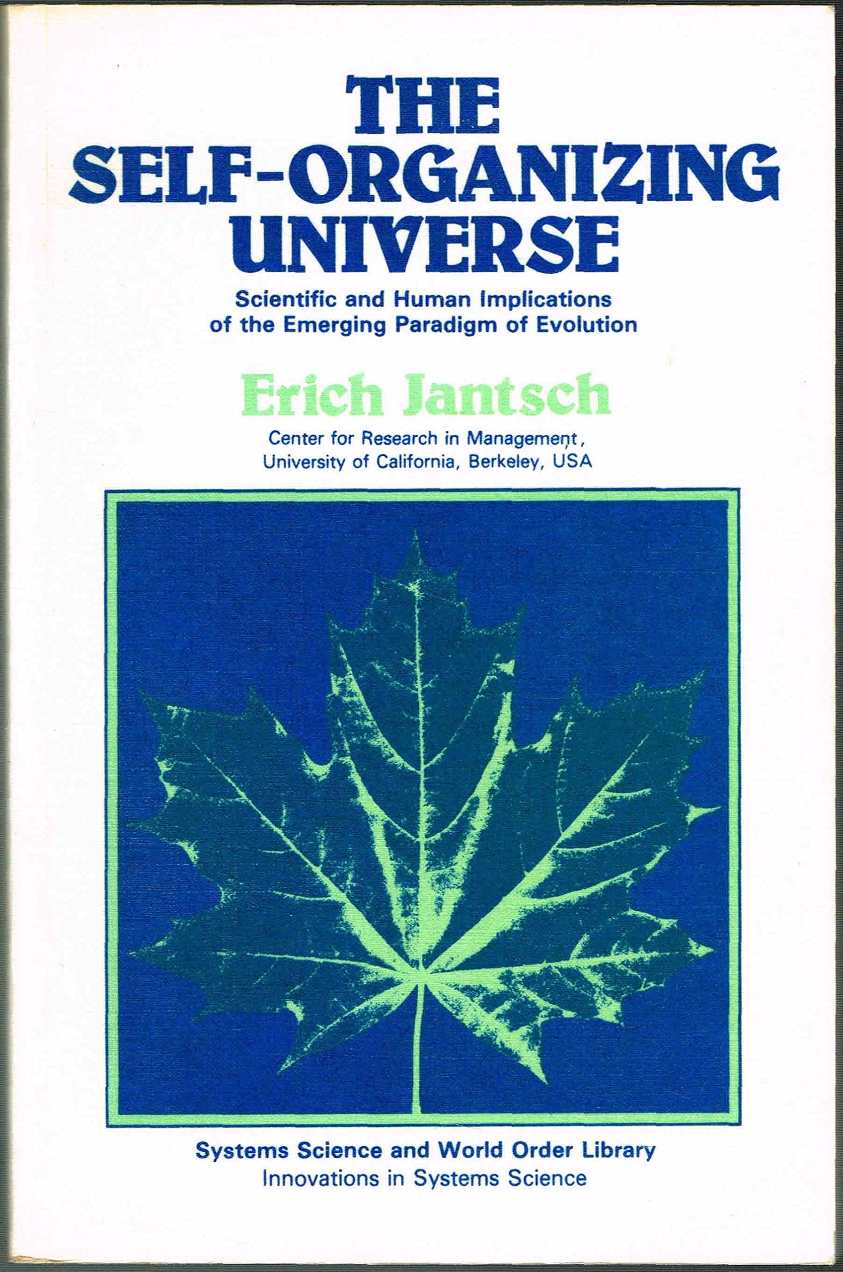 Self Organizing Universe: Scientific and Human Implications (Systems Science and World Order Library. Innovations in Systems Science) Philosophy