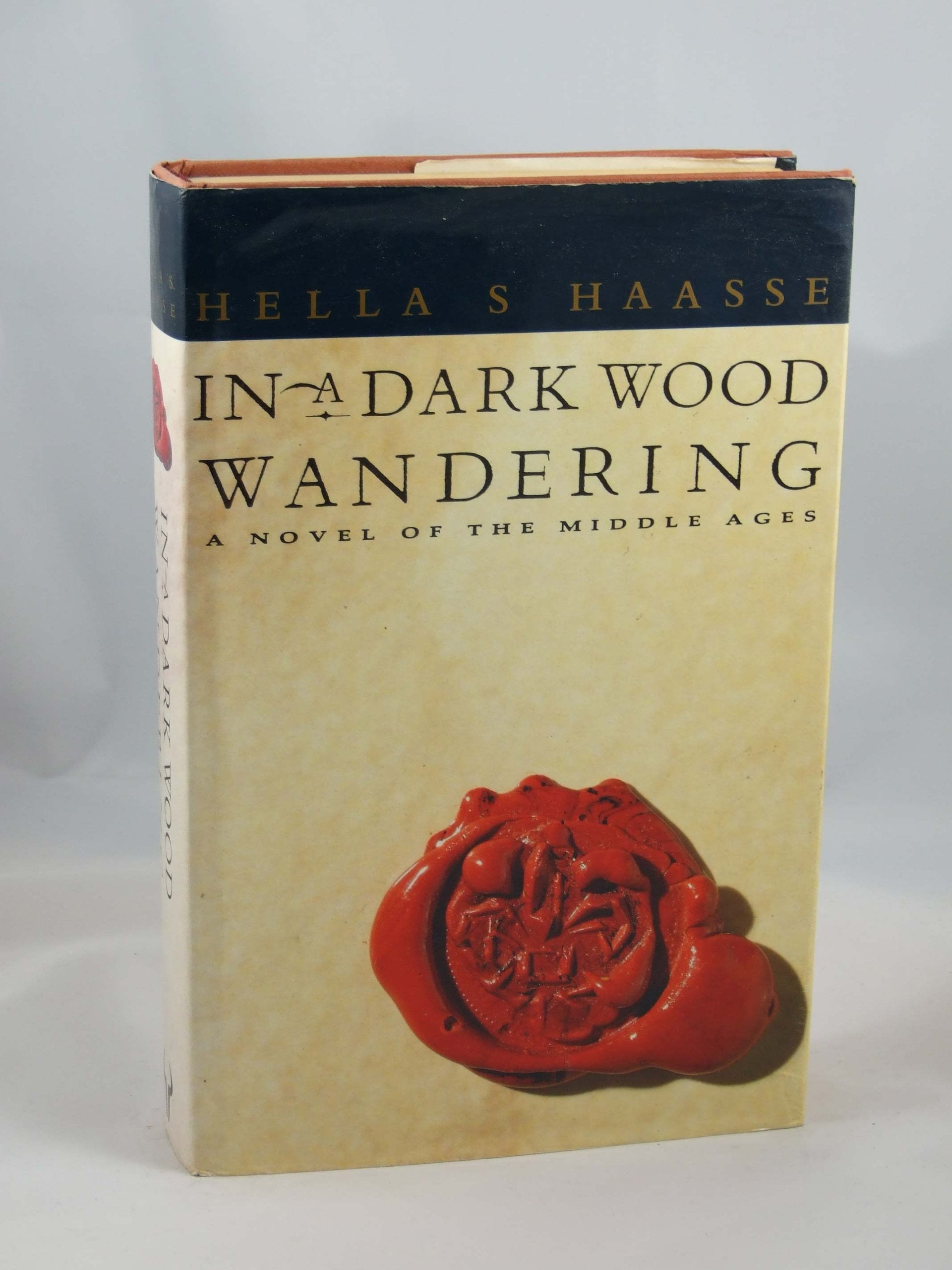 In a Dark Wood Wandering Contemporary literature