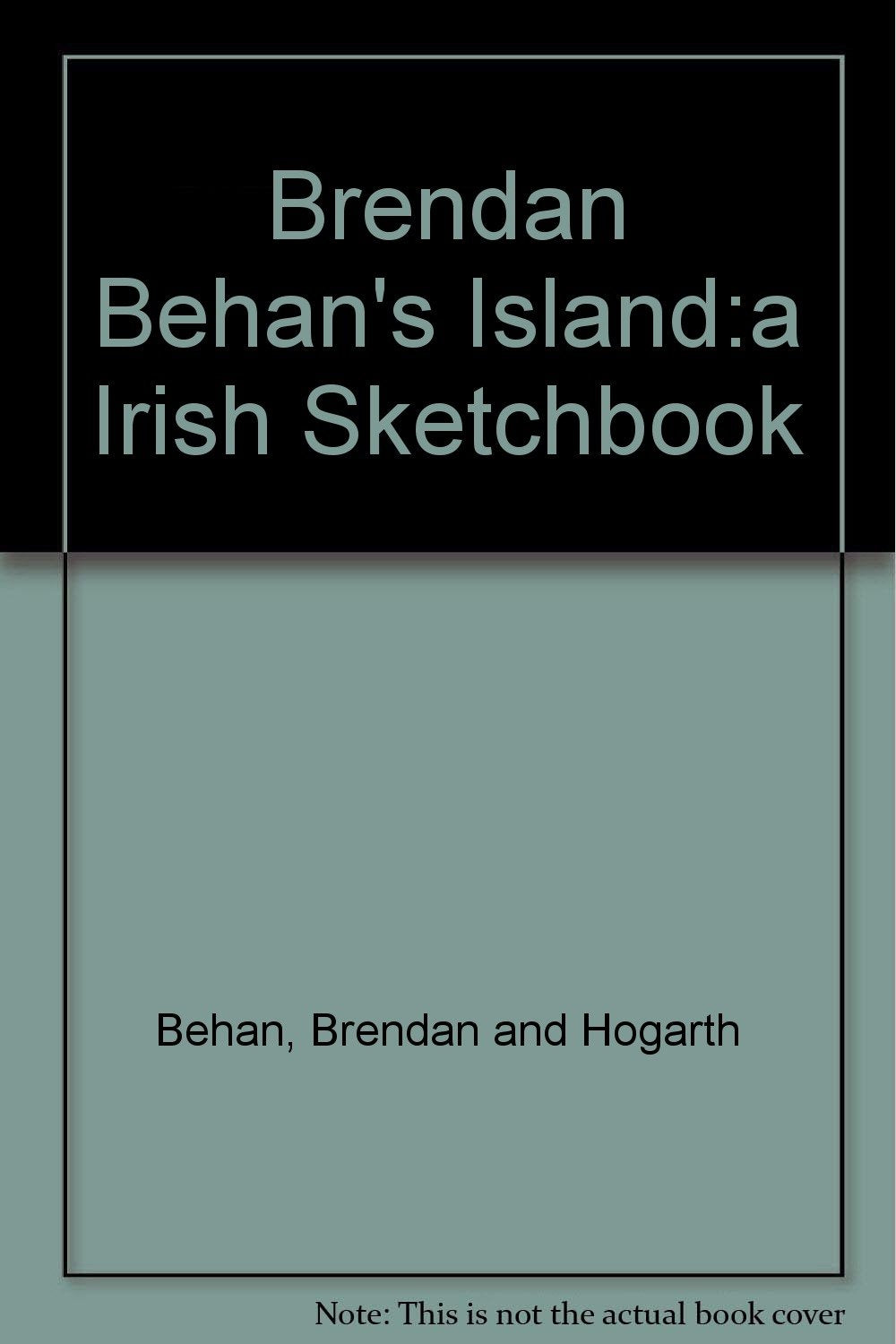 Brendan Behan's Island:a Irish Sketchbook book