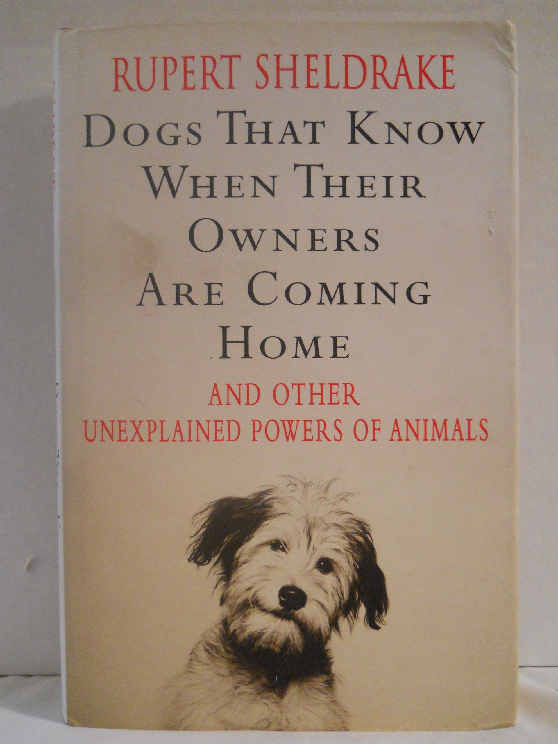 Dogs That Know When Their Owners are Coming Home: And Other Unexplained Powers of Animals Pets