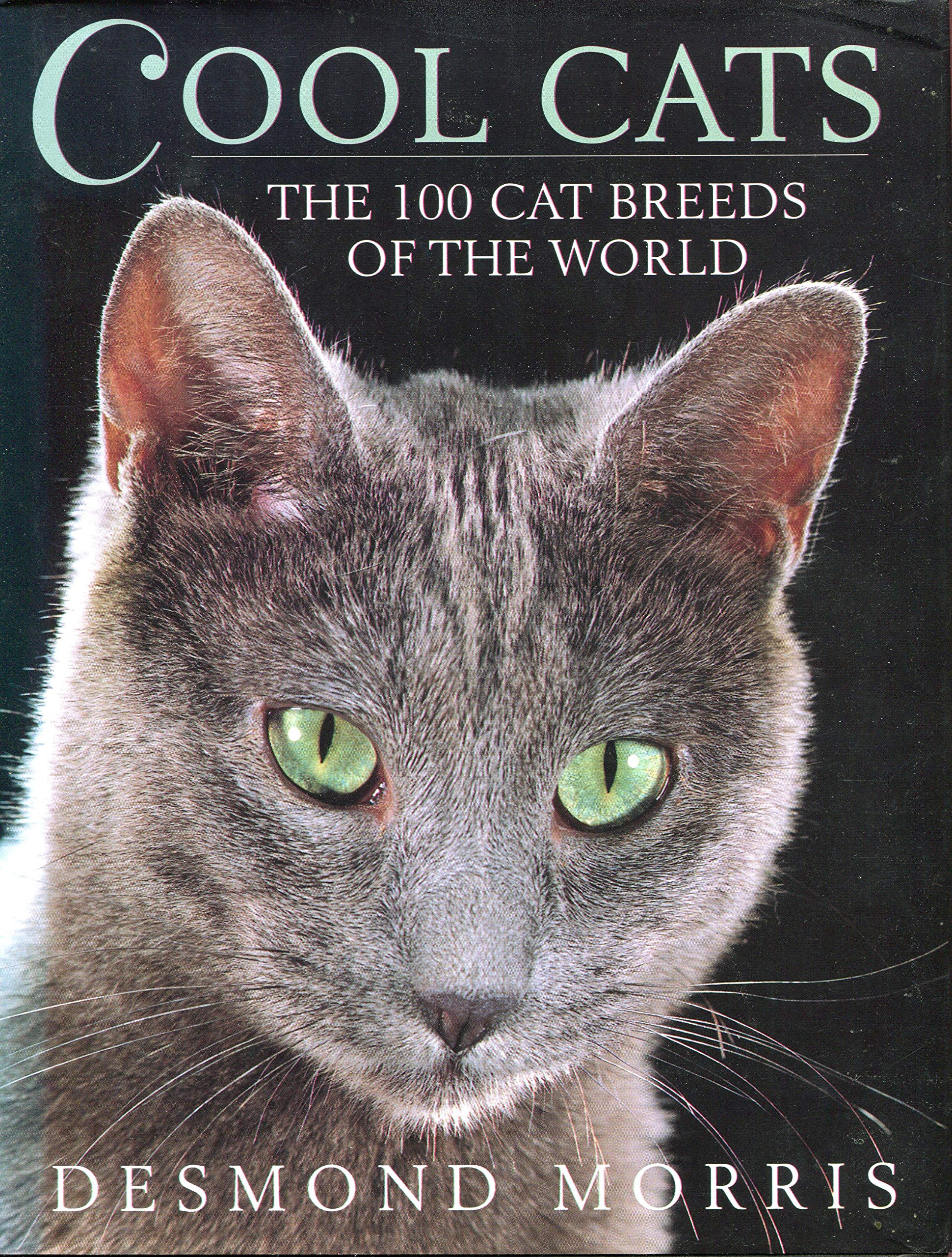 Cat Breeds of the World Pets
