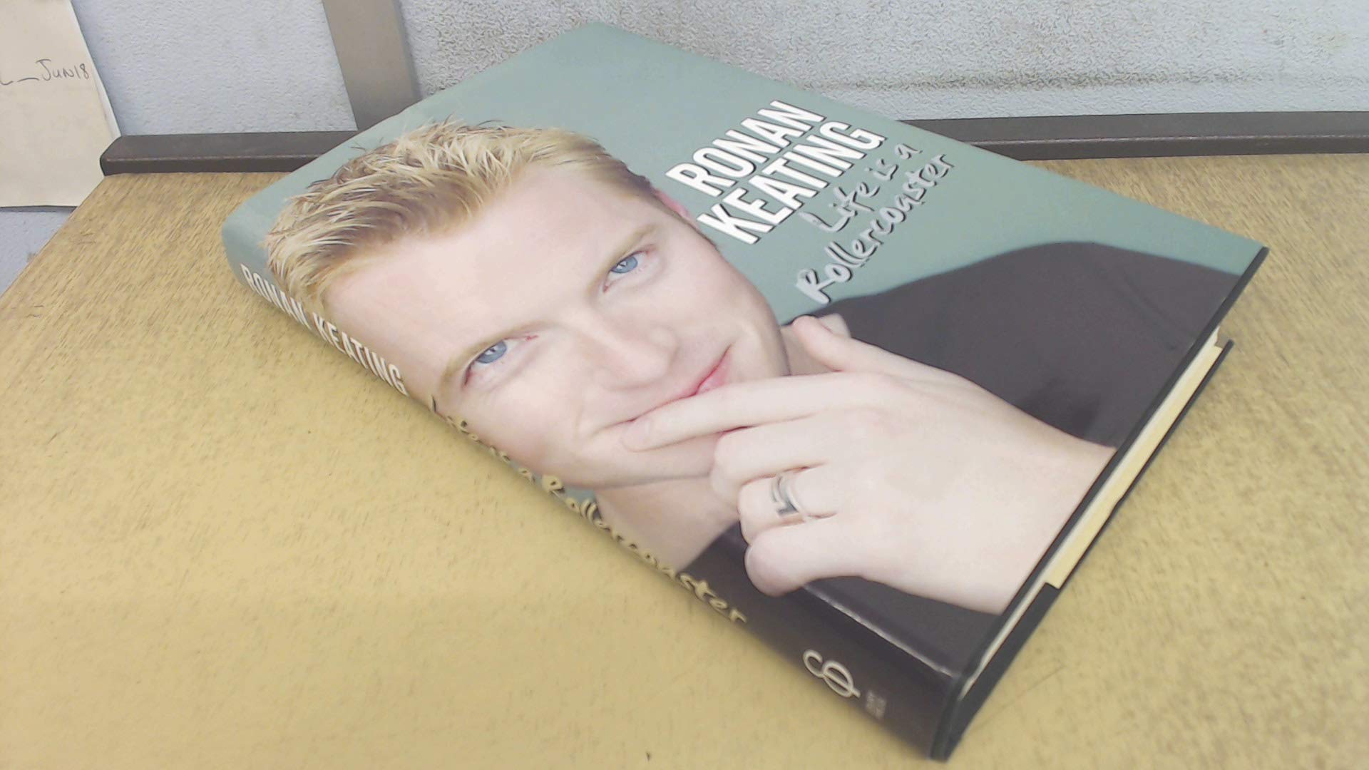 Life Is a Rollercoaster Pop culture Books