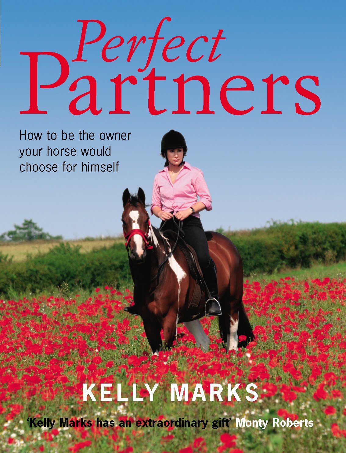 Perfect Partners: How to be the owner that your horse would choose for himself Leisure & Fun