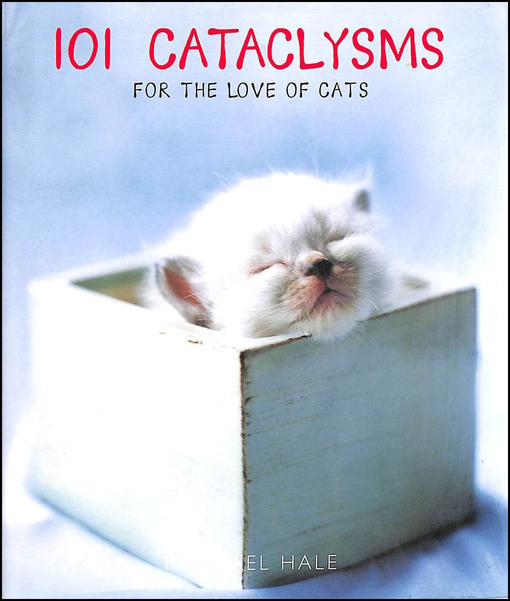 101 Cataclysms: For the love of cats Pets