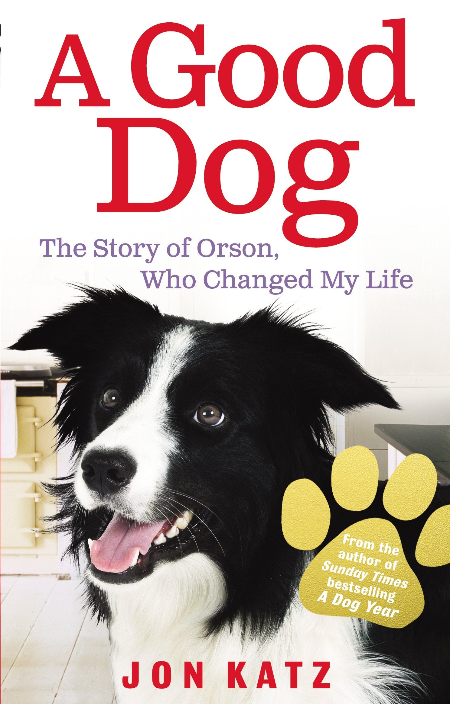 A Good Dog: The Story of Orson, Who Changed My Life Memories