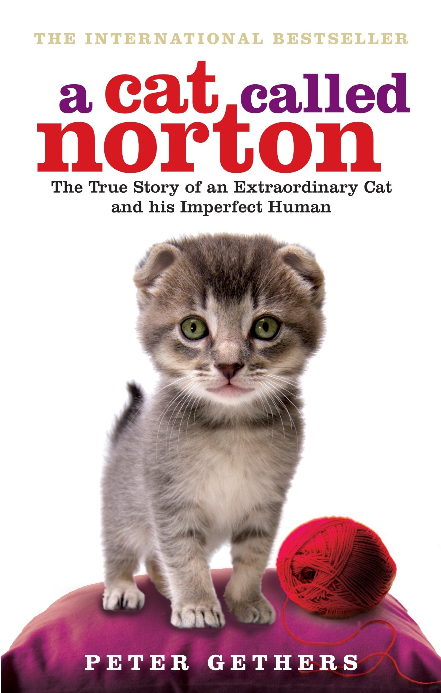 A Cat Called Norton Memories