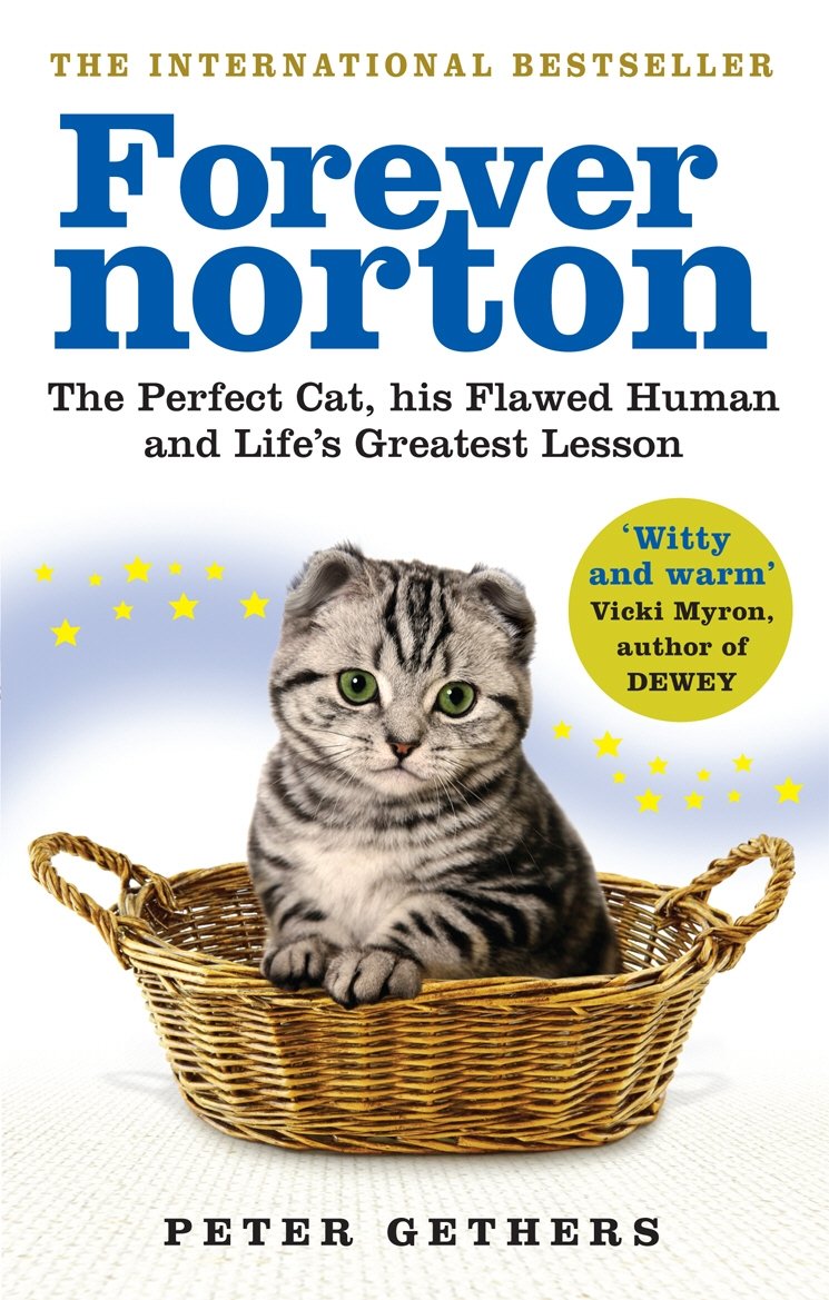 Forever Norton: The Perfect Cat, his Flawed Human and Life's Greatest Lesson Memories