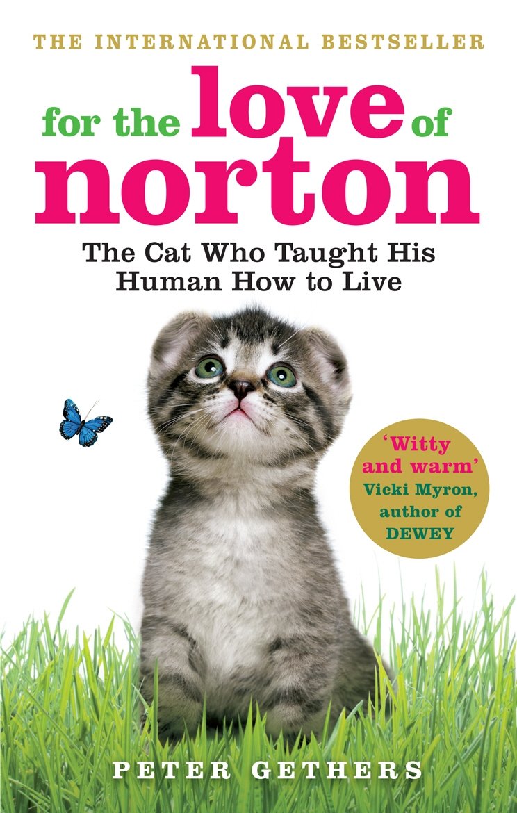 For the Love of Norton: The Cat who Taught his Human How to Live Art & Literature