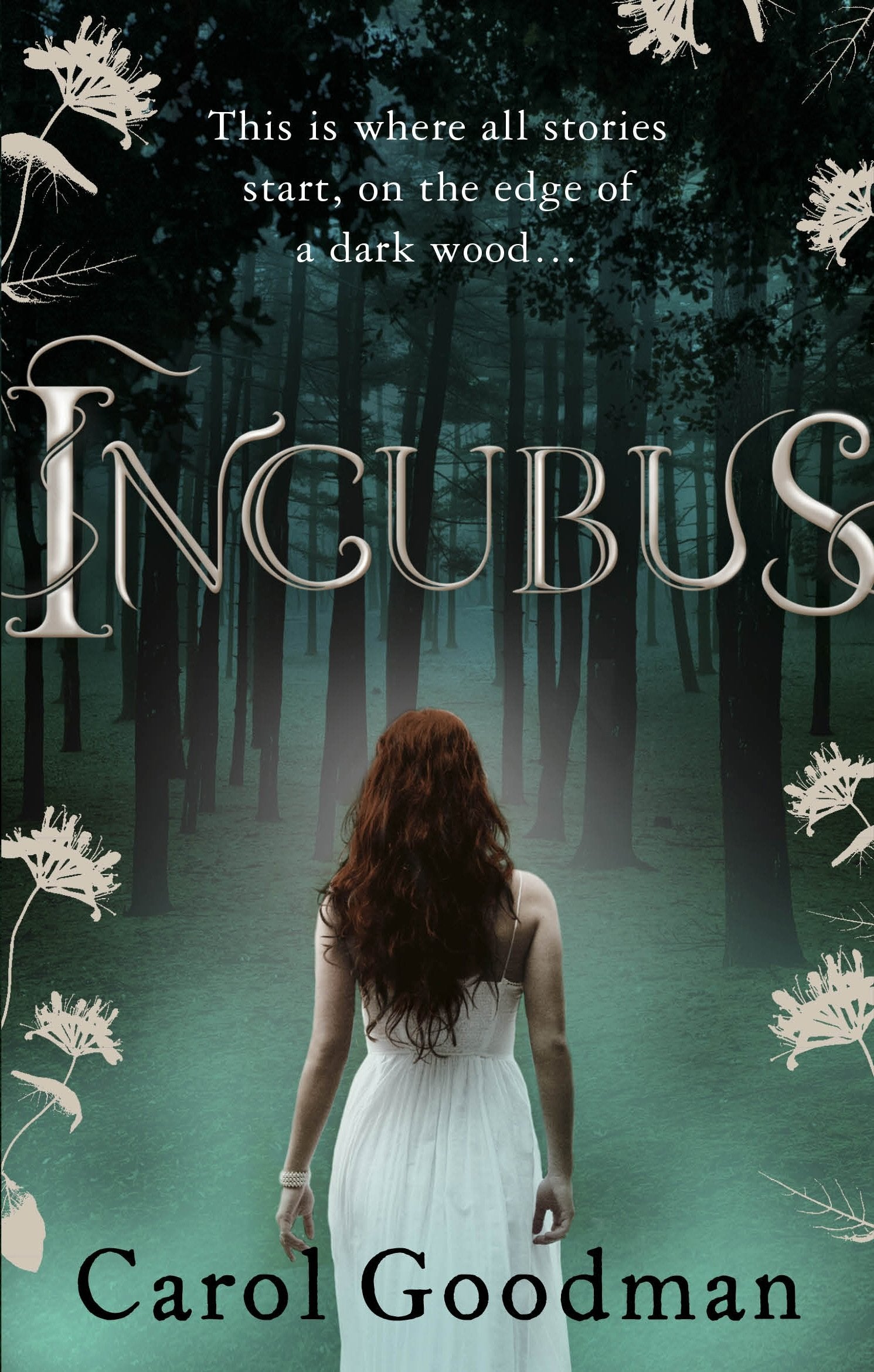 Incubus Contemporary literature Books