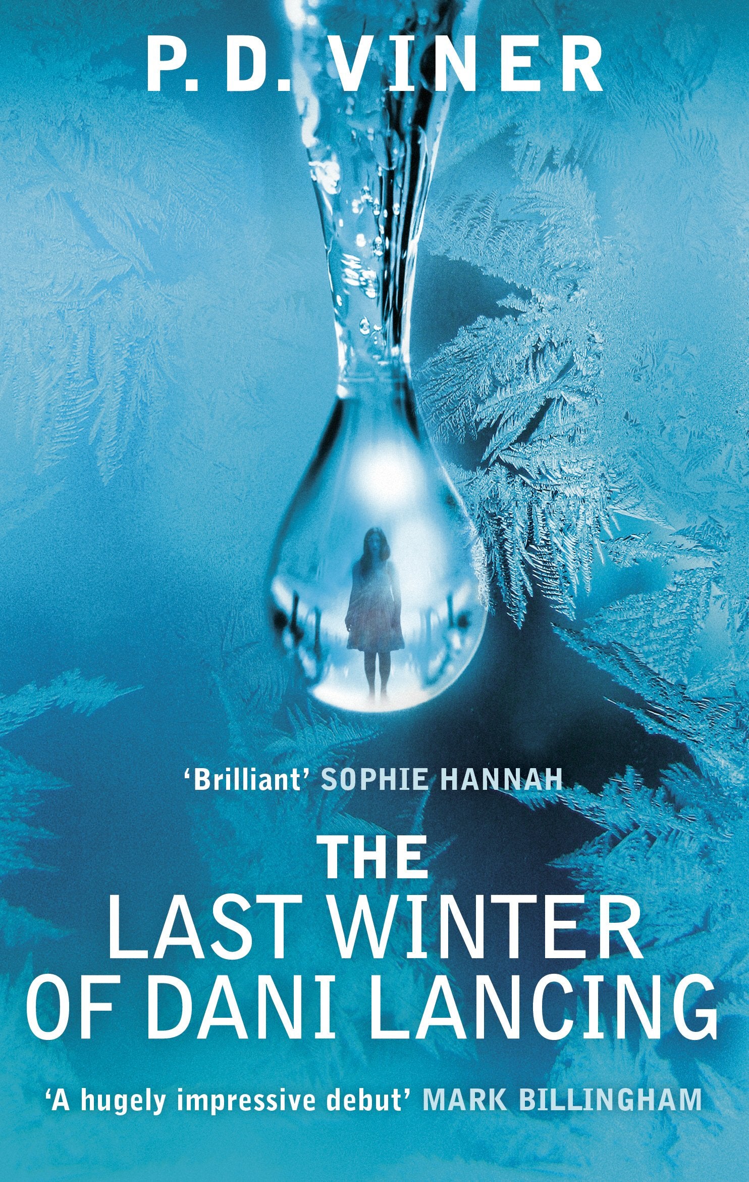 The Last Winter of Dani Lancing book