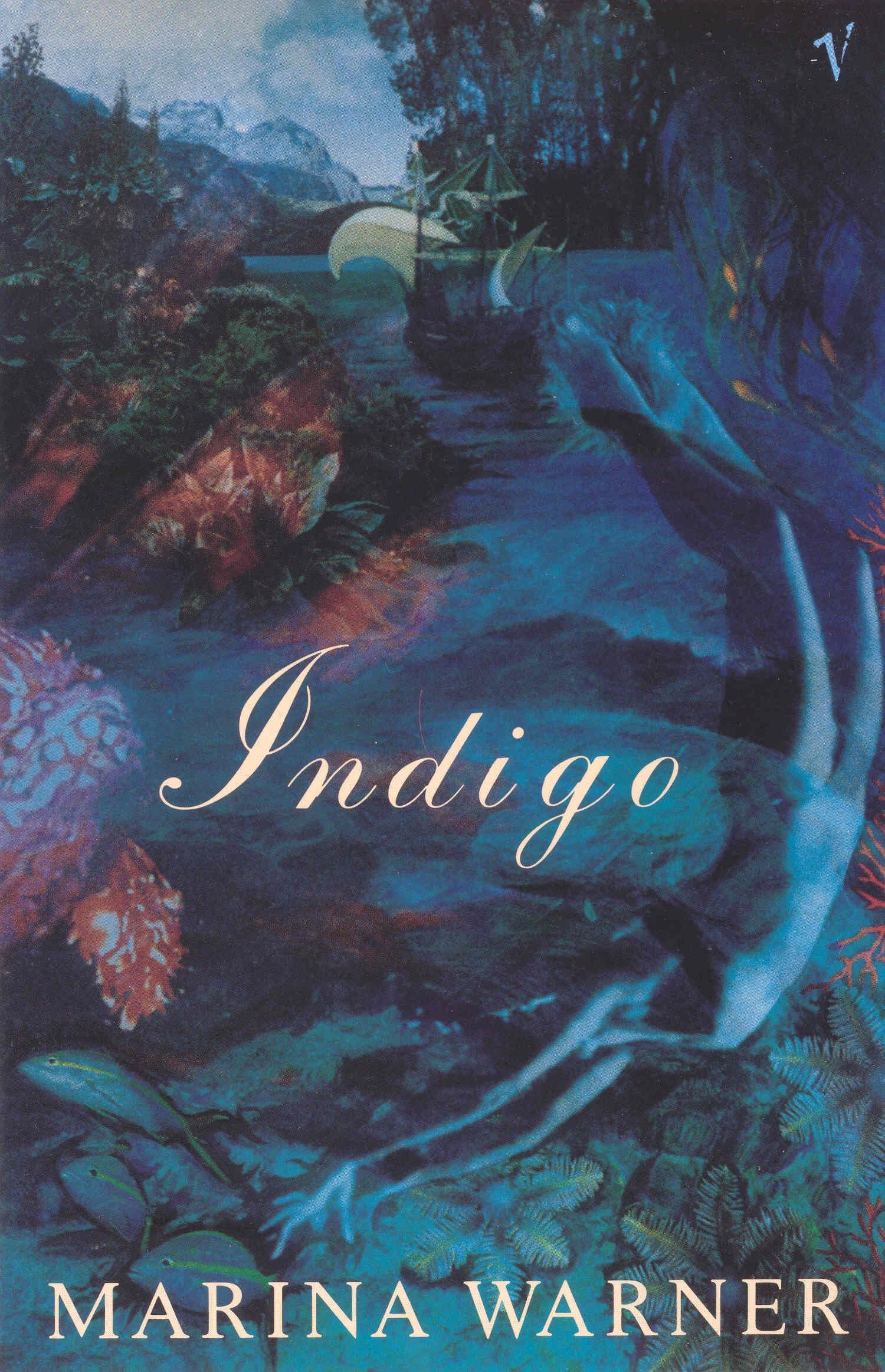 Indigo Or Mapping The Waters Contemporary literature Books