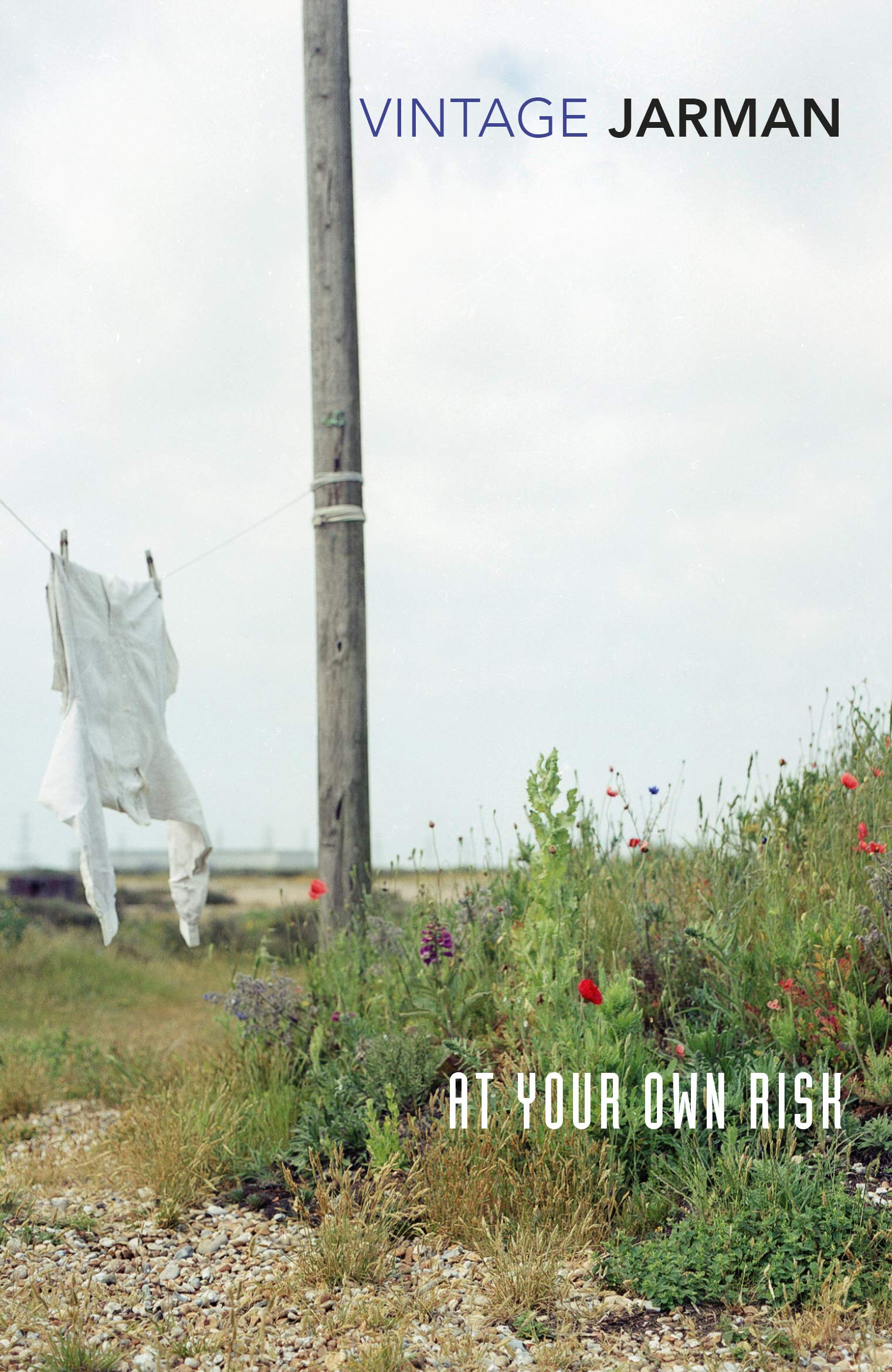 At Your Own Risk: A Saint's Testament Pop culture