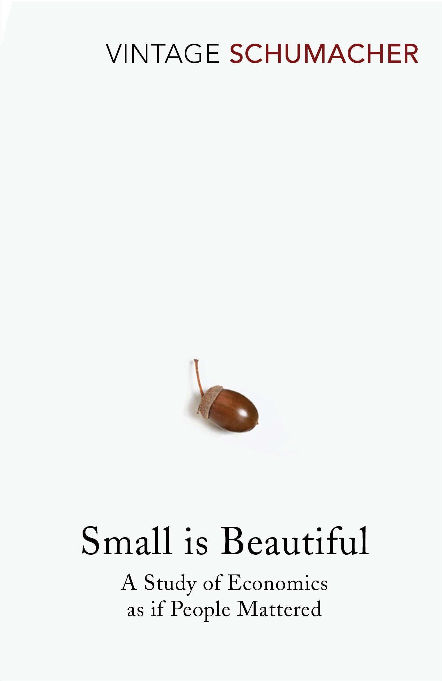 Small Is Beautiful Philosophy Books