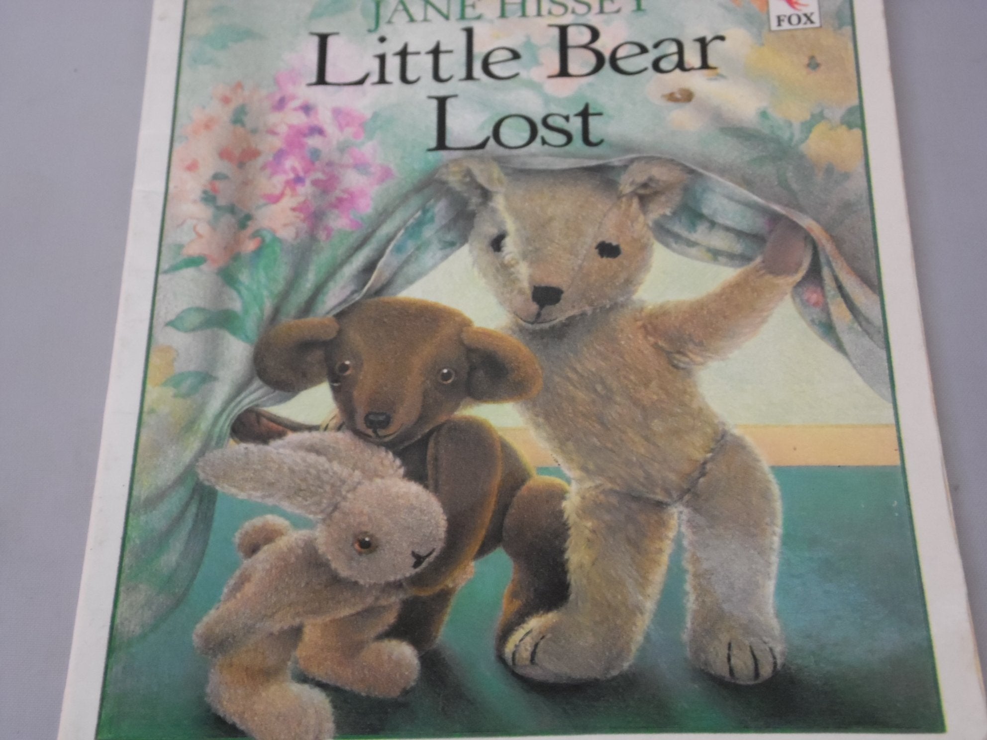 Little Bear Lost (Red Fox picture books) Novels & Short Stories