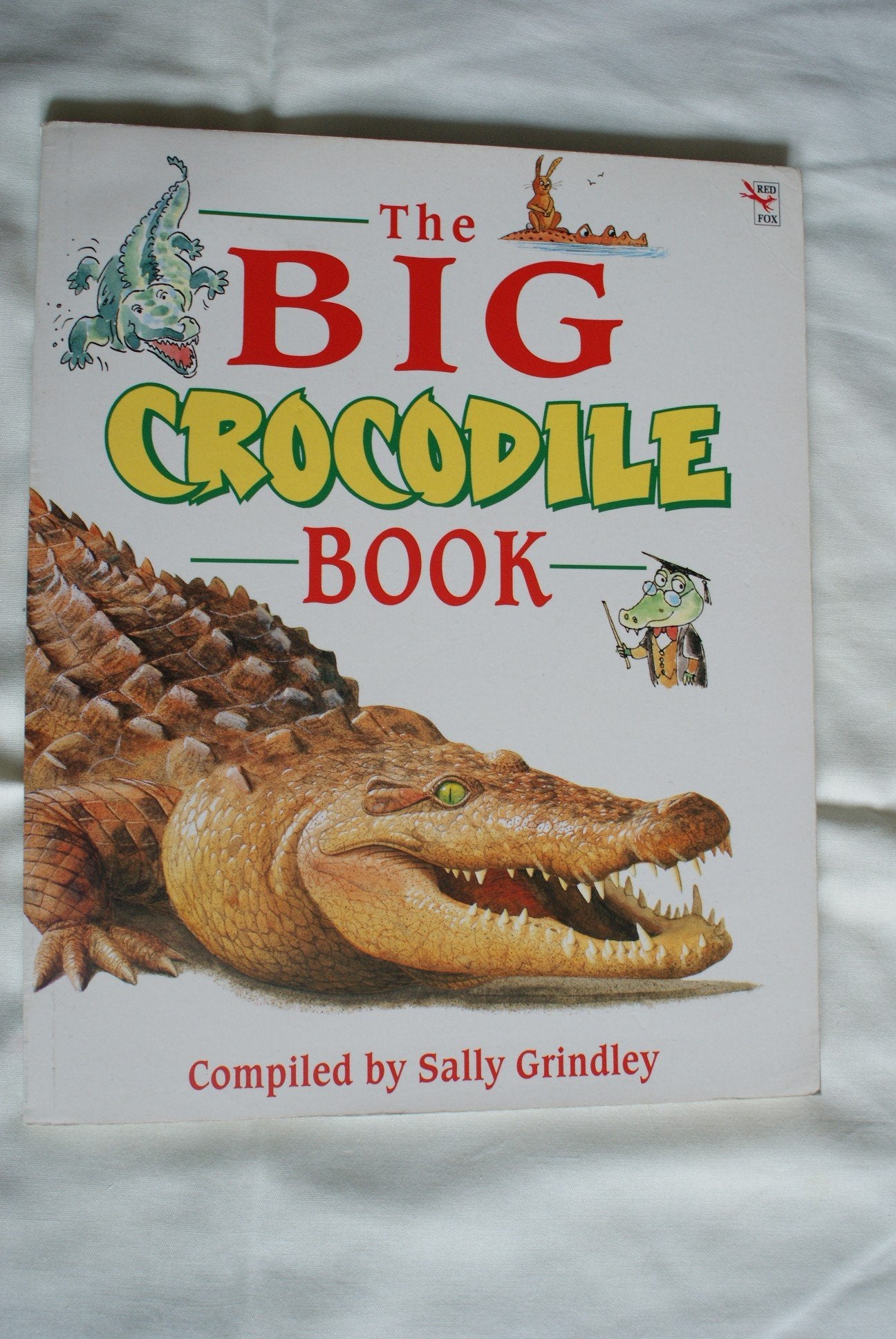 The Big Crocodile Book (Red Fox story books) Contemporary literature