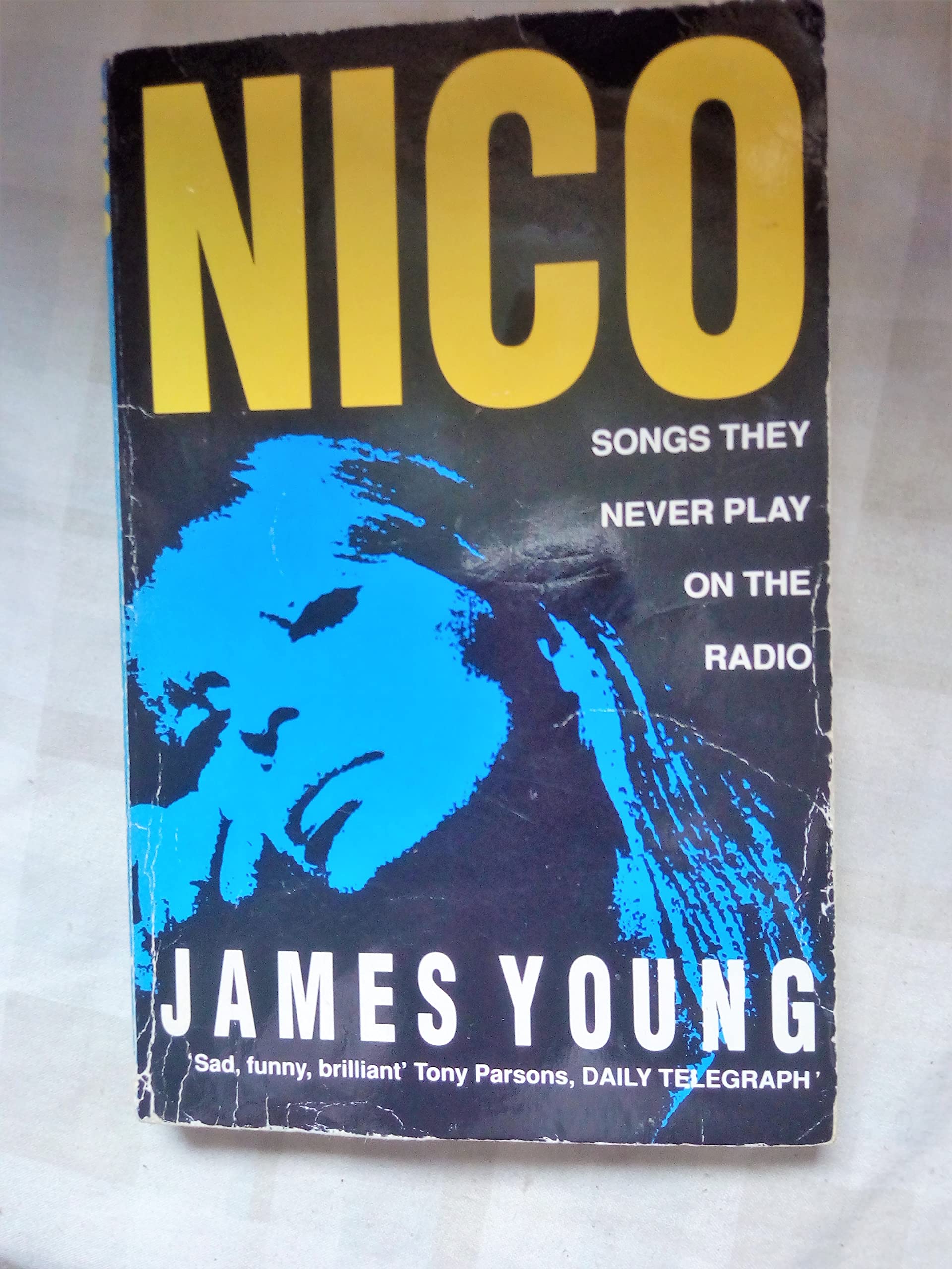 Nico the Last Bohemian: Songs They Never Play on the Radio Pop culture