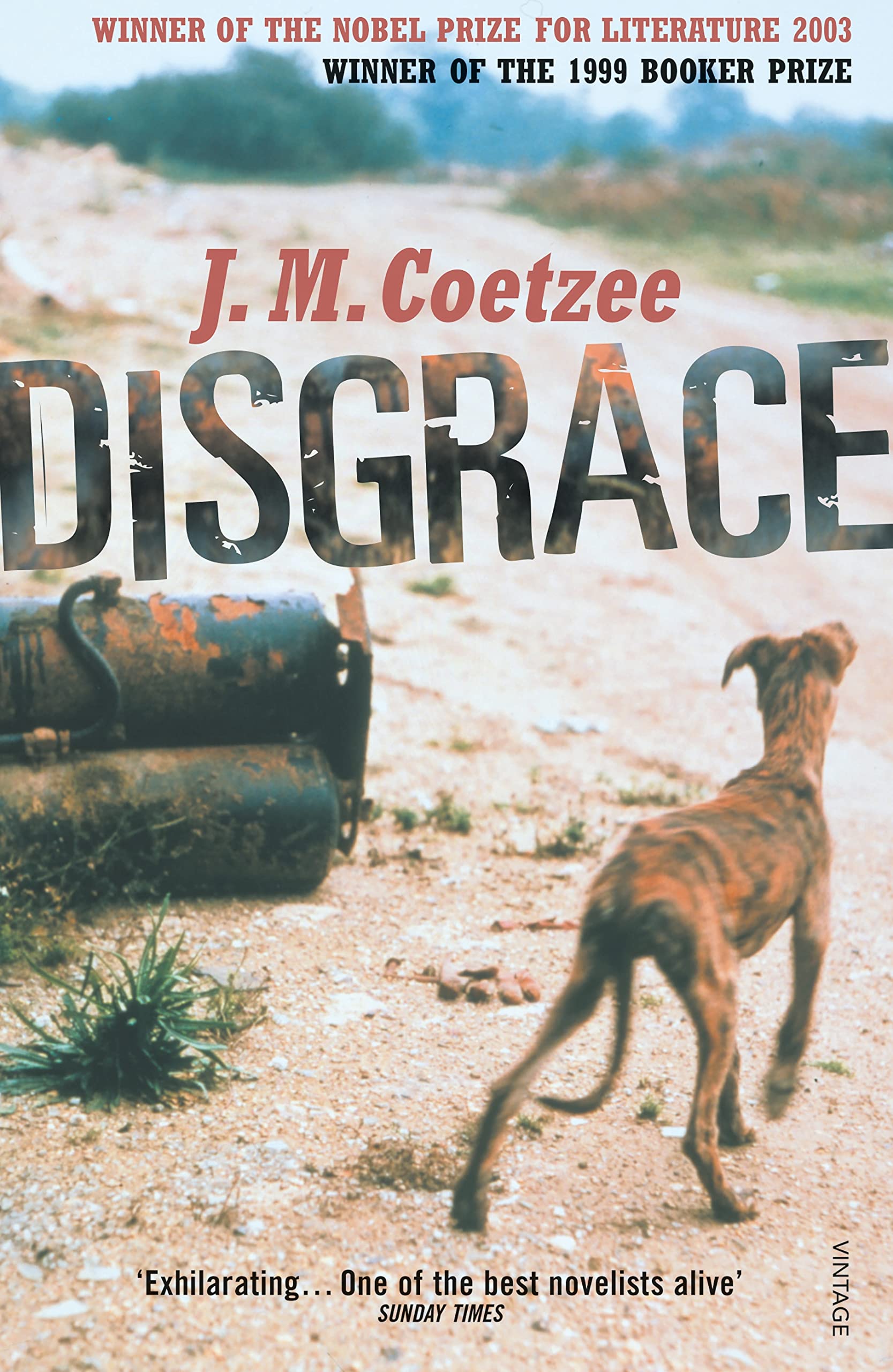 Disgrace Contemporary literature Books