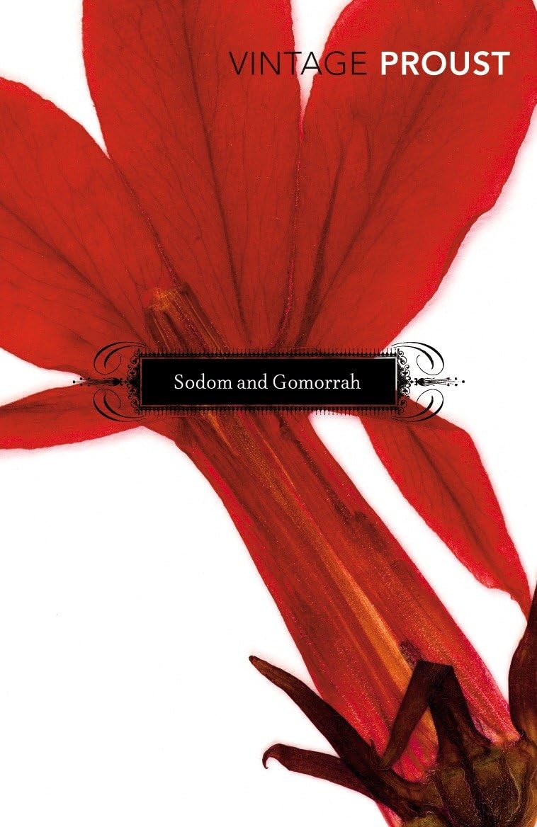 In Search of Lost Time, Vol 4: Sodom and Gomorrah book