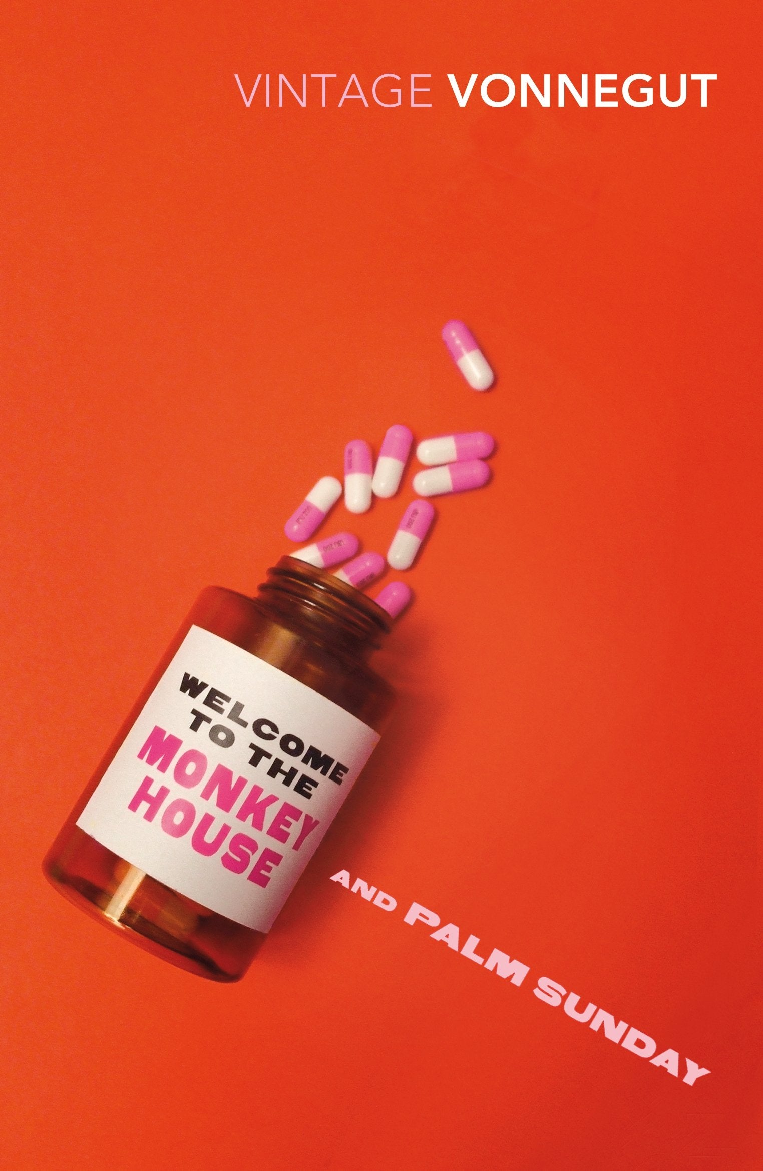 Welcome To The Monkey House and Palm Sunday Contemporary literature
