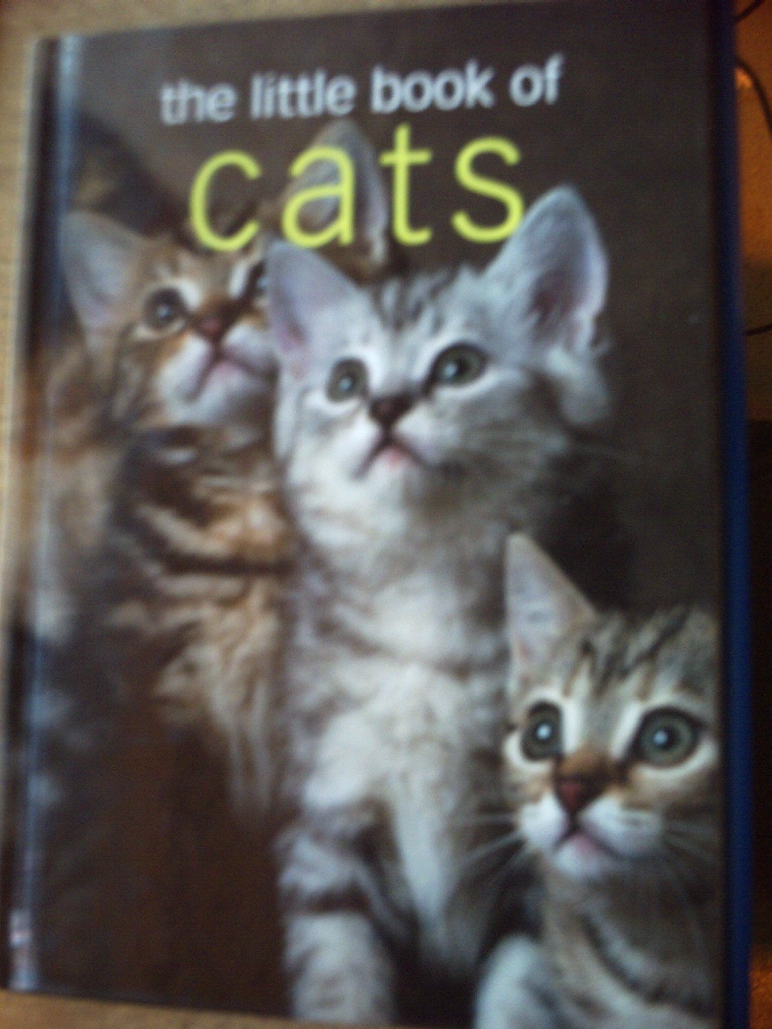 The Little Book Of Cats Non-fiction