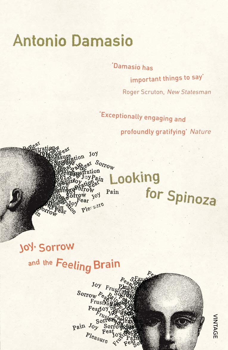 Looking For Spinoza: Joy, Sorrow and the Feeling Brain Philosophy