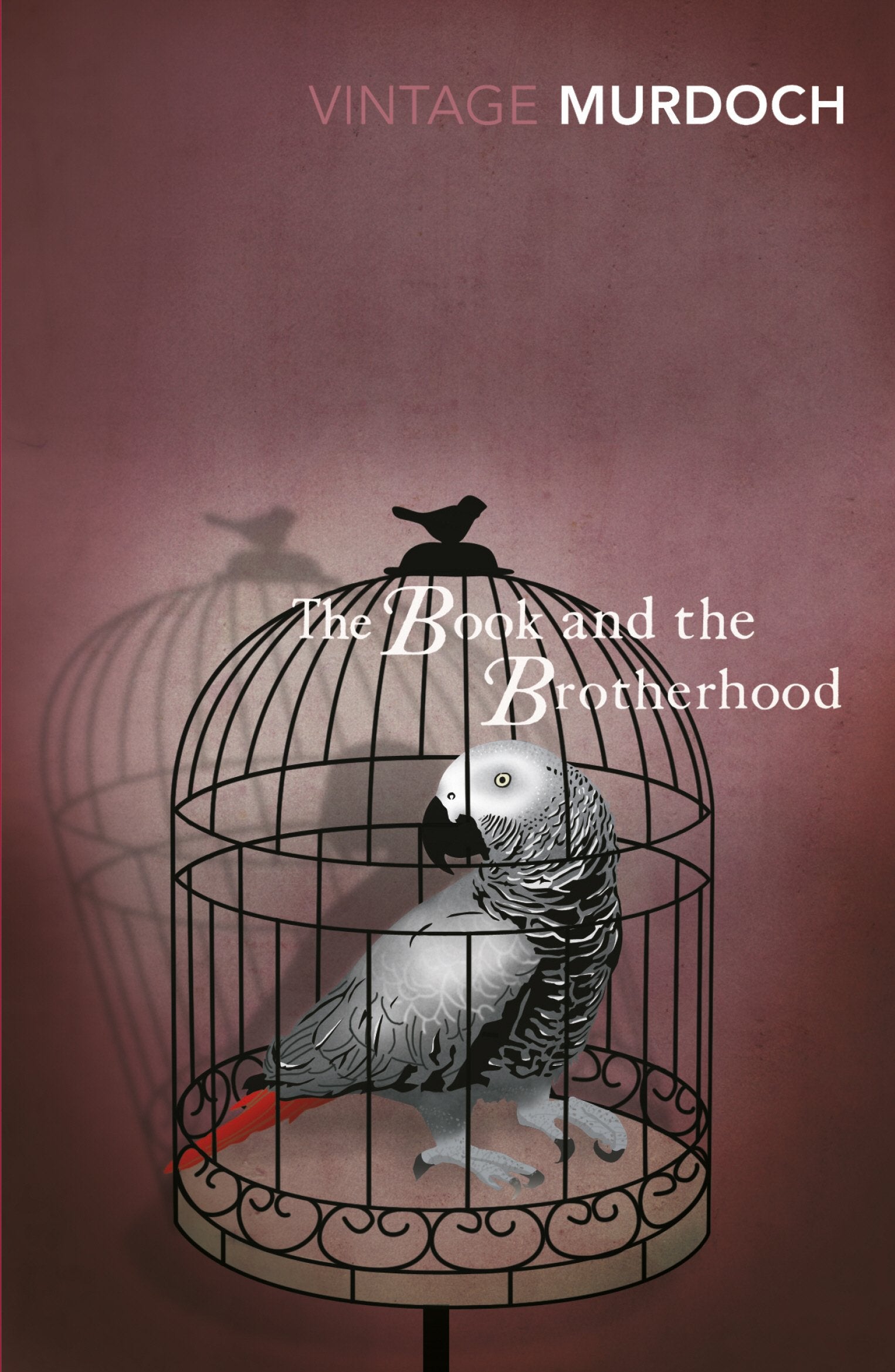 The Book And The Brotherhood book