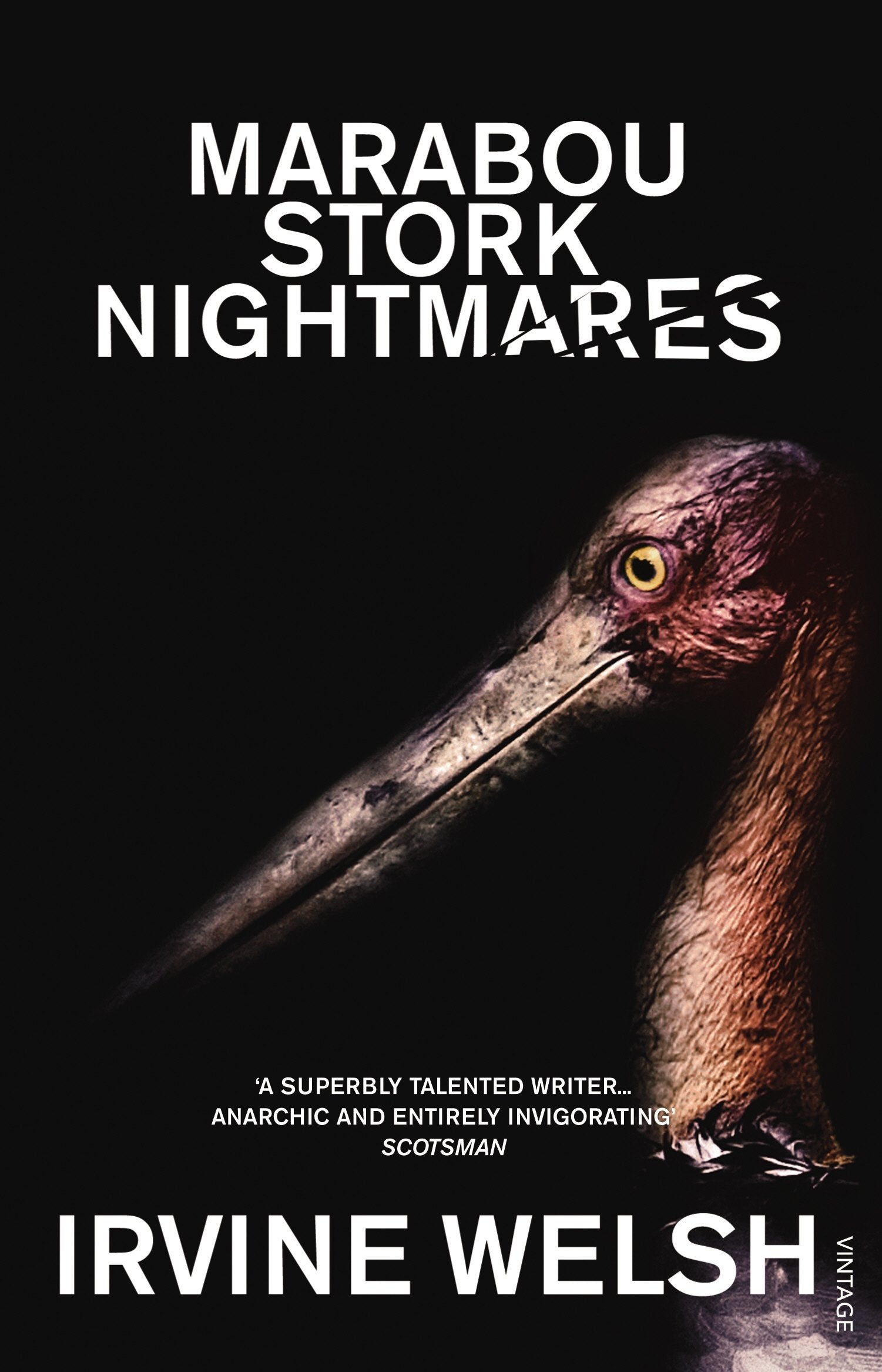 Marabou Stork Nightmares Contemporary literature Books
