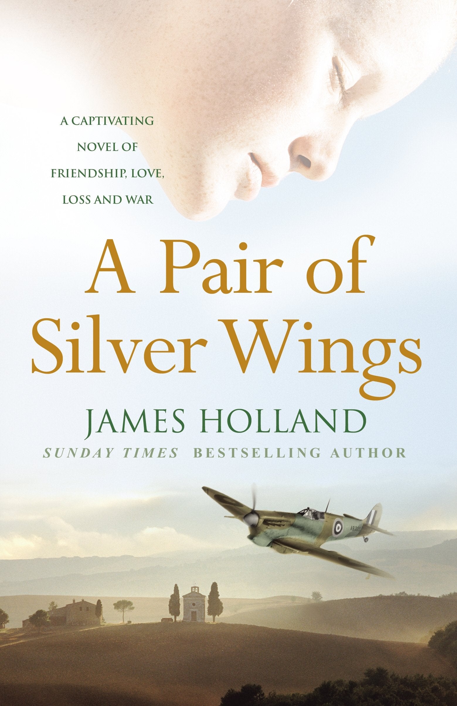 A Pair of Silver Wings Contemporary literature