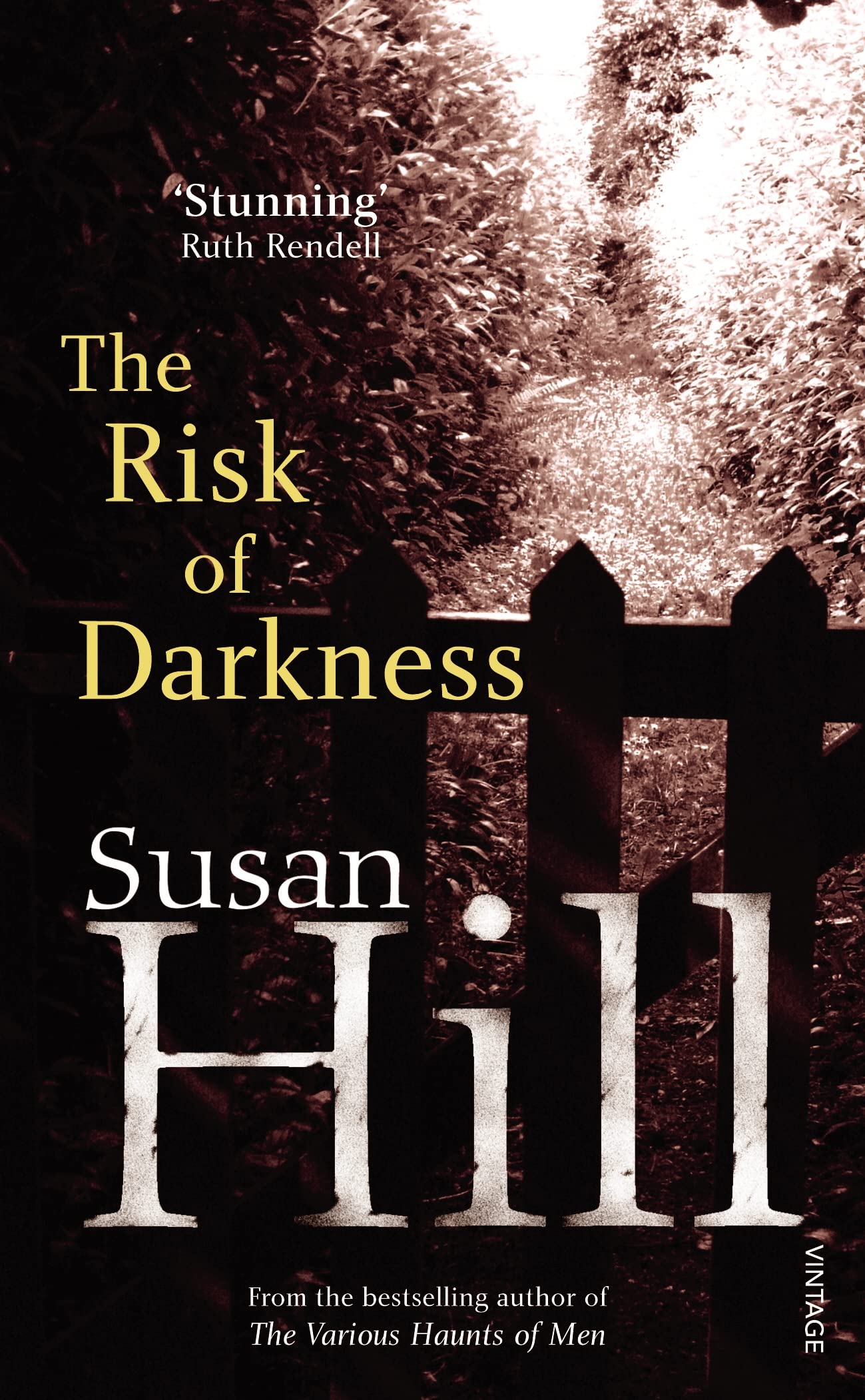 The Risk of Darkness Contemporary literature