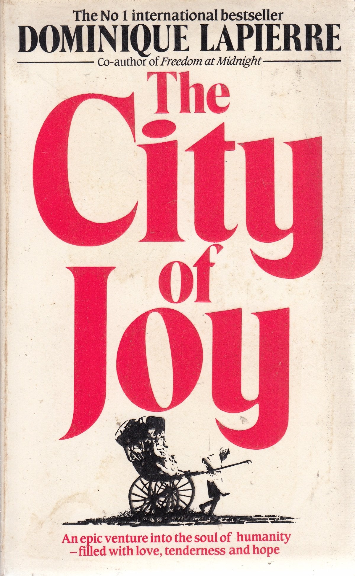 The City of Joy Books