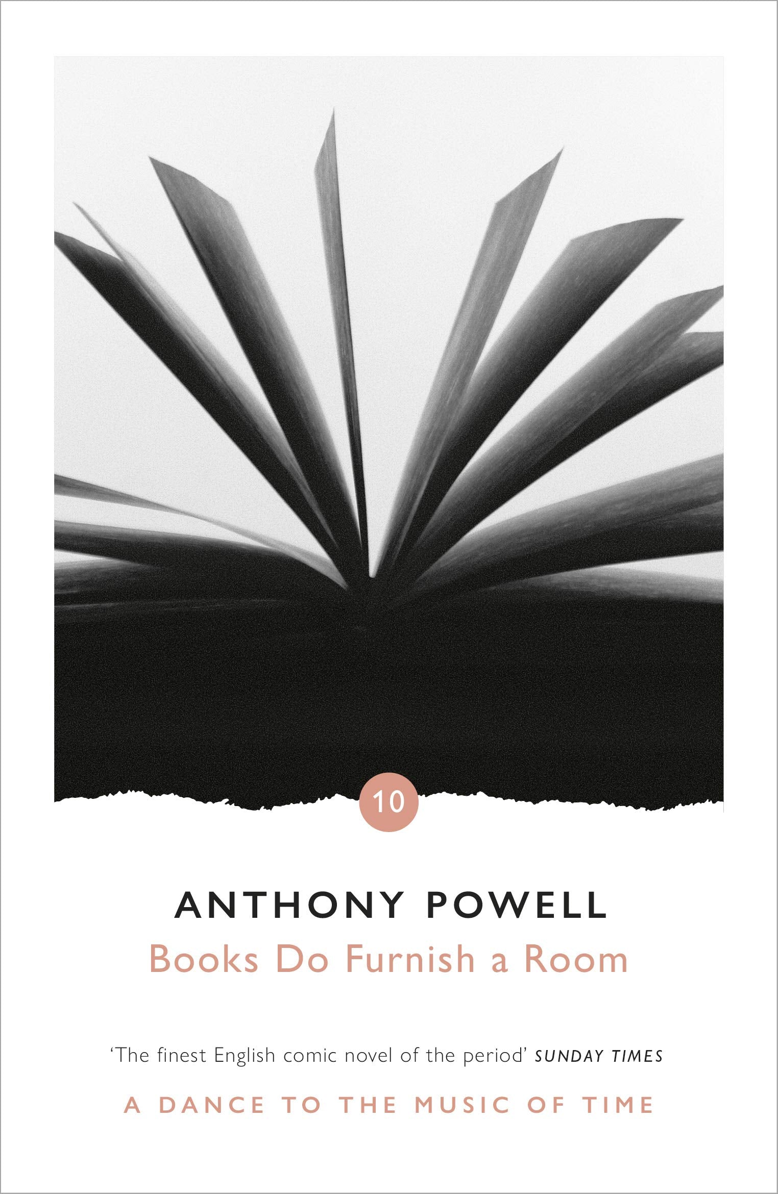 Books Do Furnish A Room Contemporary literature