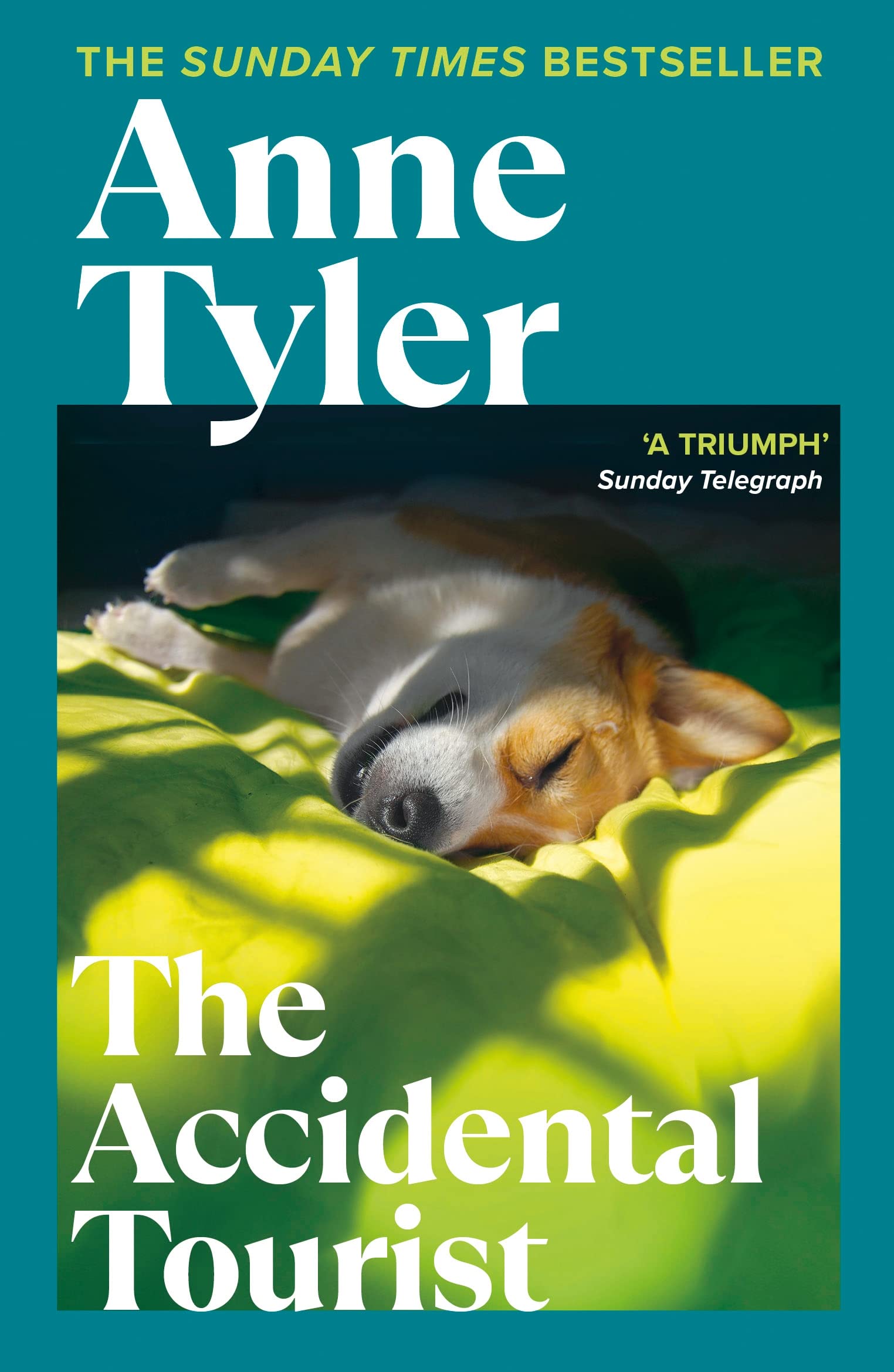 The Accidental Tourist Contemporary literature