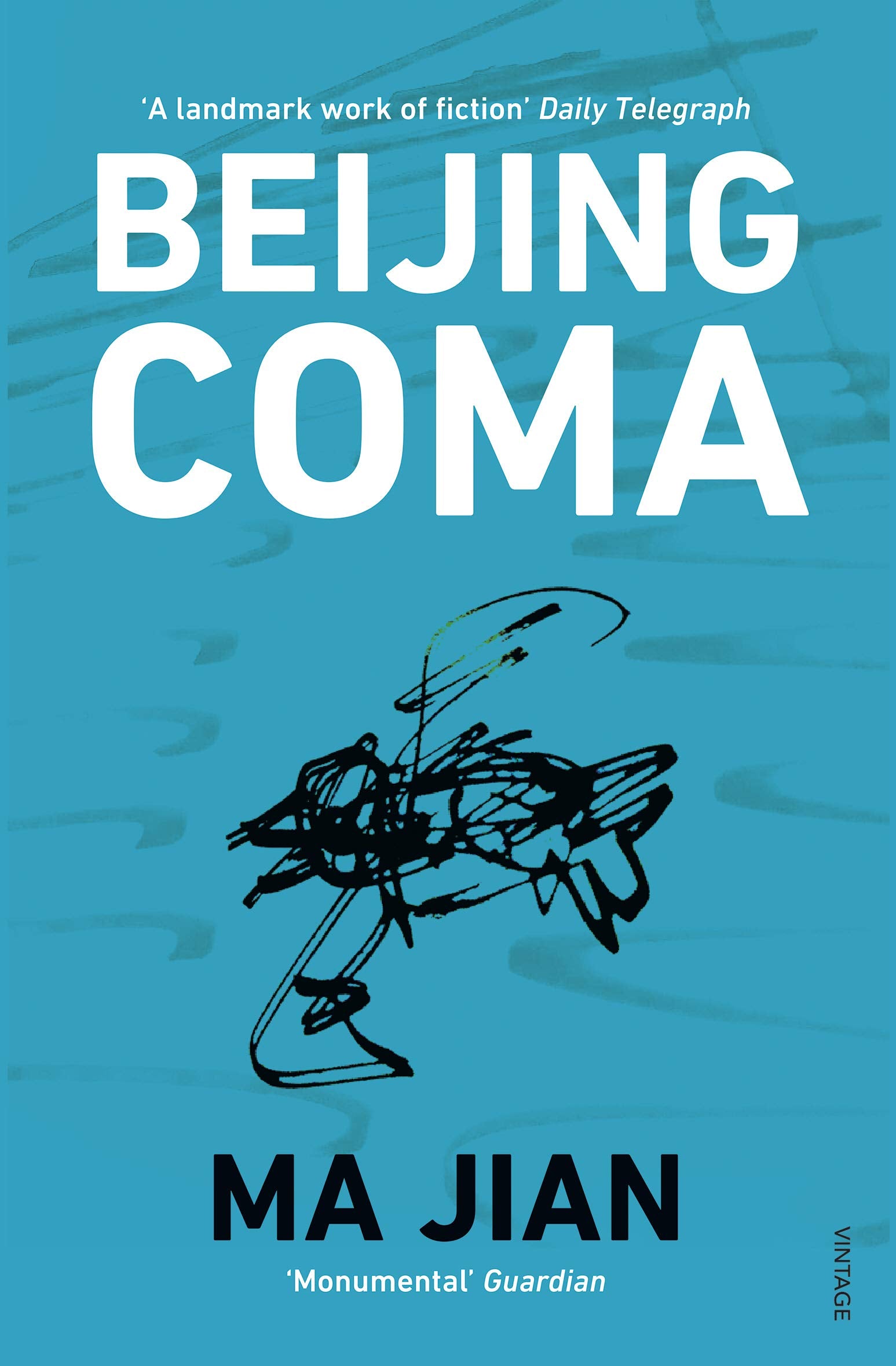 Beijing Coma Contemporary literature Books