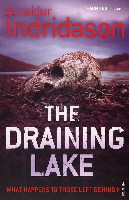 Product Image: The Draining Lake