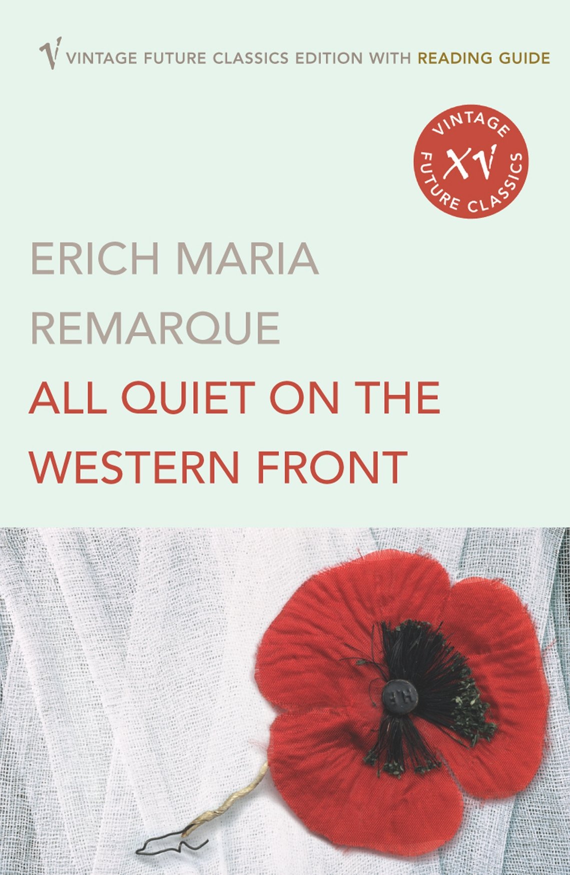 All Quiet on the Western Front: A First World War classic, now an Oscar and BAFTA winning film (All Quiet on the Western Front, 1) Classics