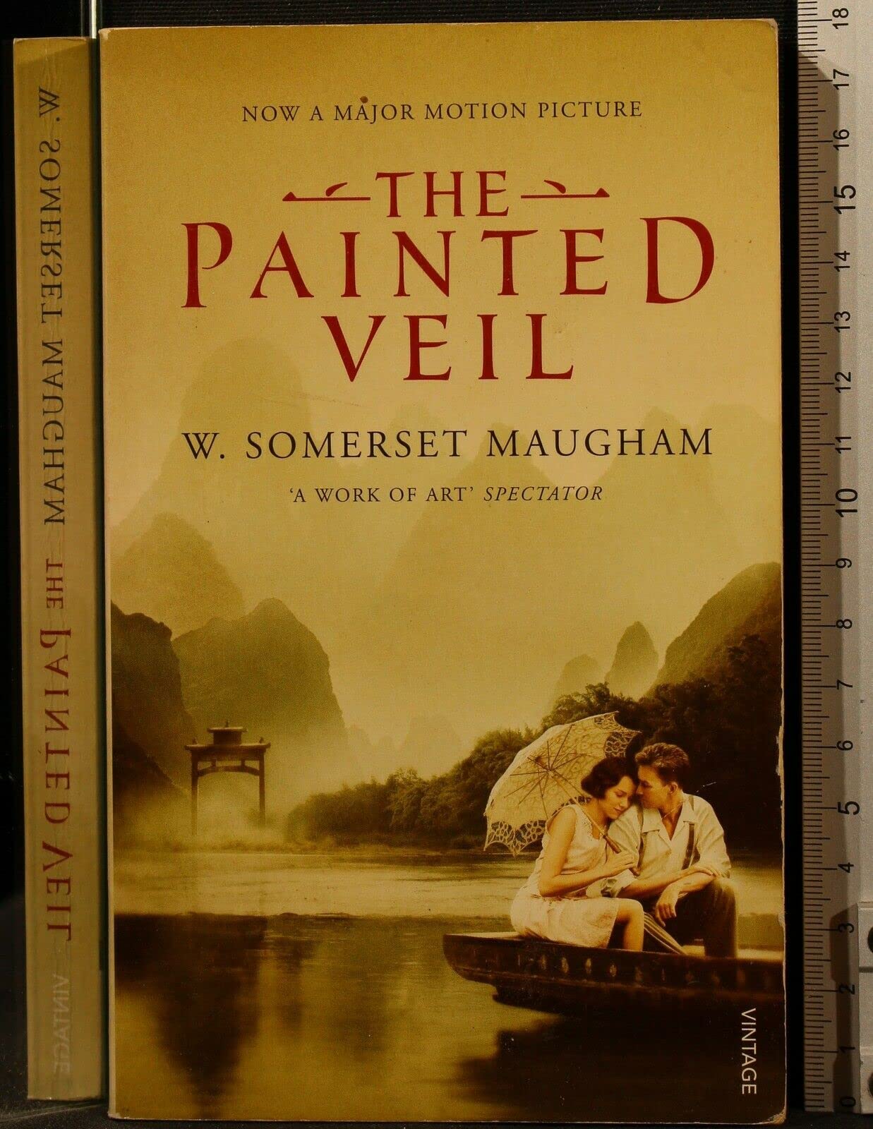 Product Image: The Painted Veil