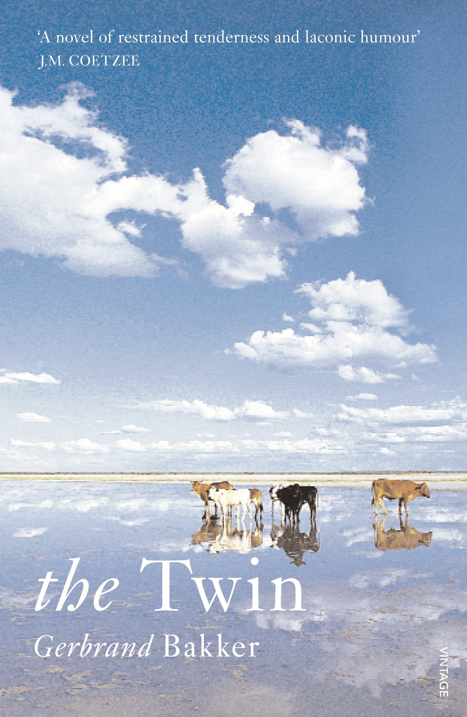 Product Image: The Twin