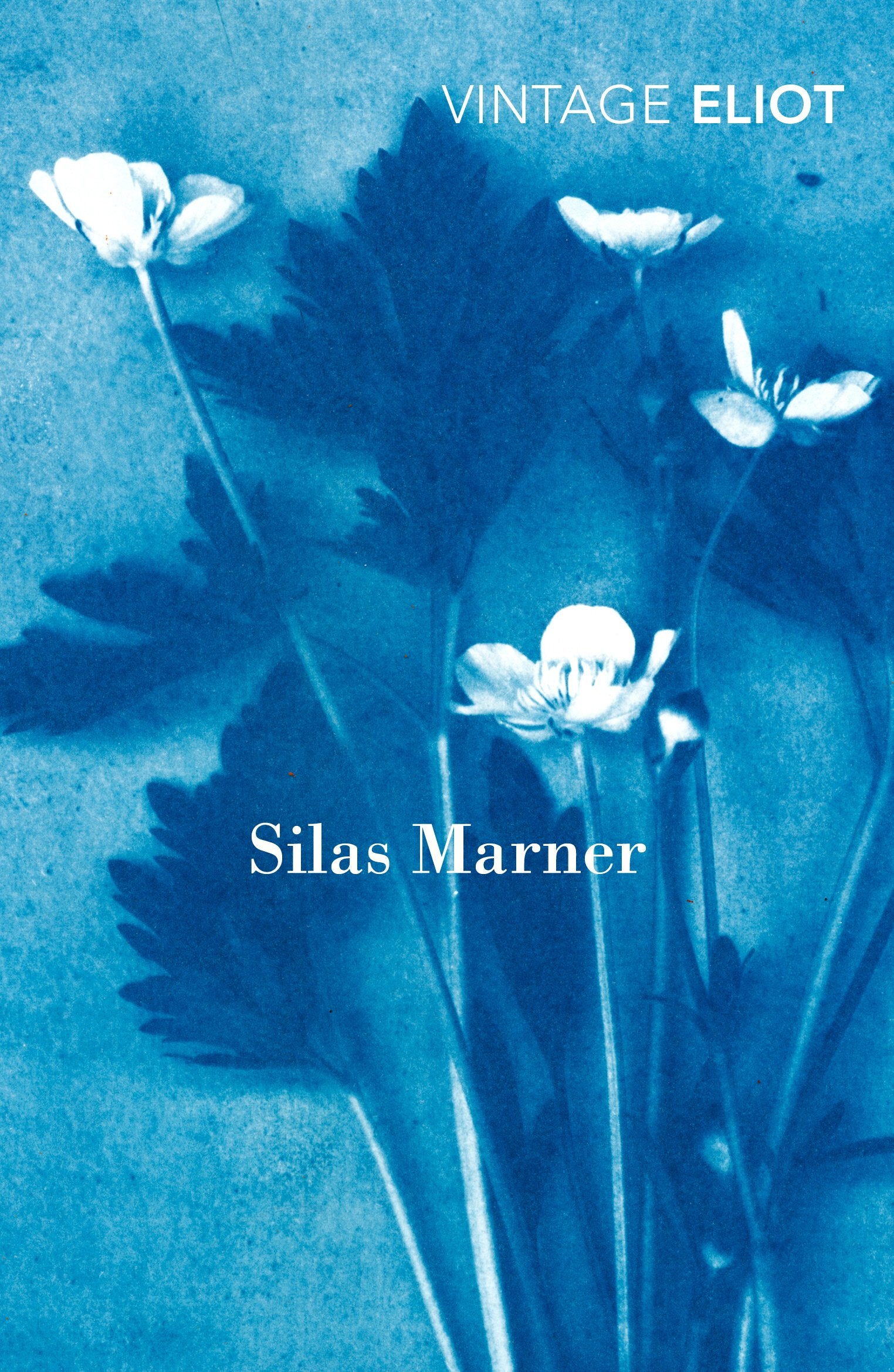Silas Marner: The Weaver of Raveloe (Vintage Classics) Classics