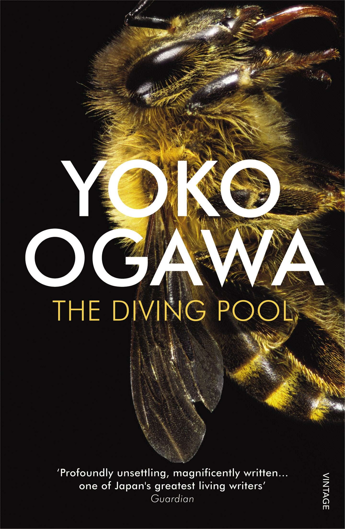 Product Image: The Diving Pool