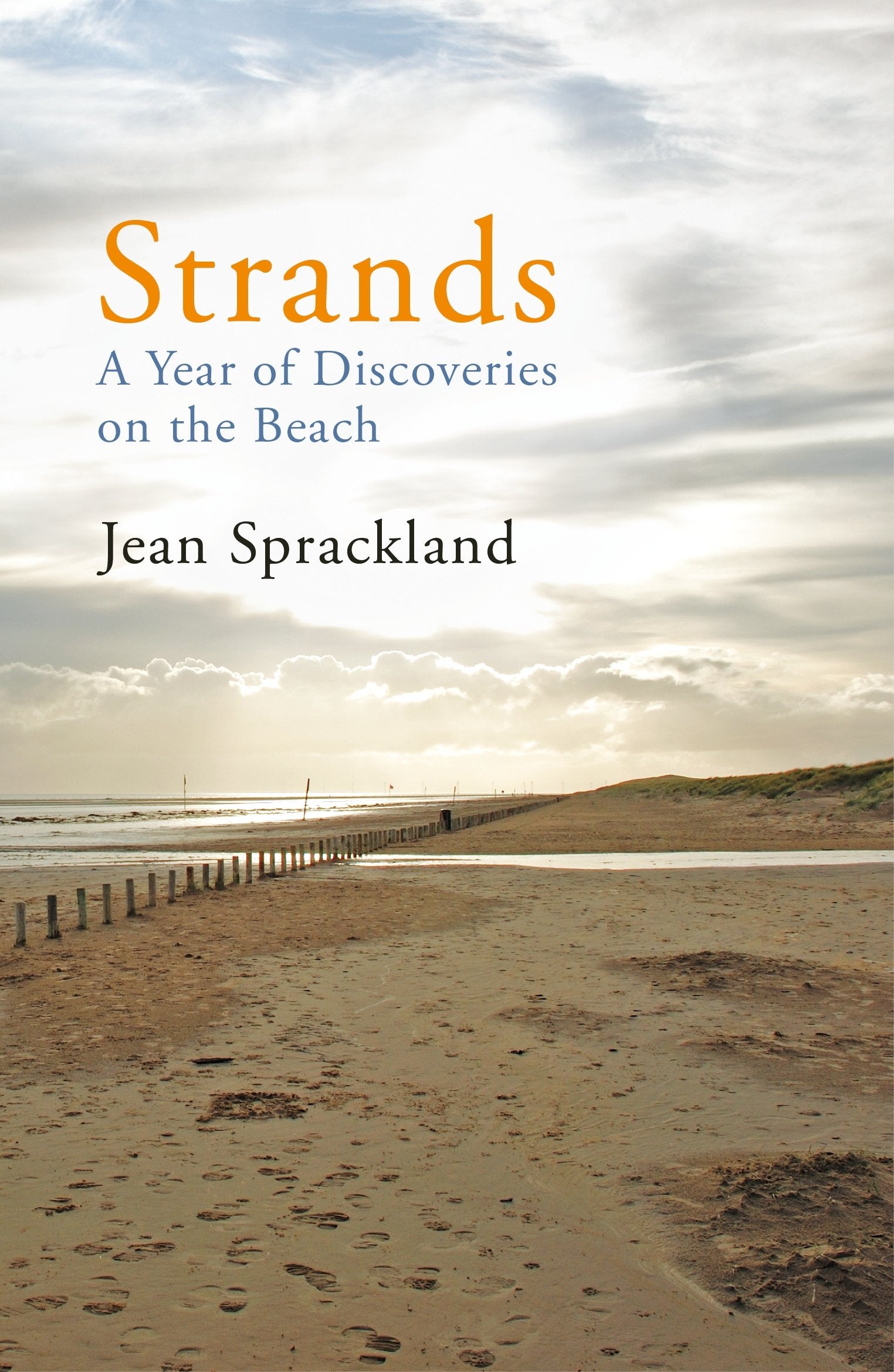 Strands: A Year of Discoveries on the Beach Art & Literature