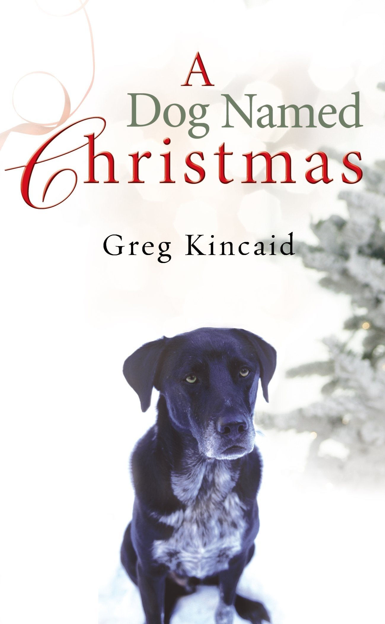 Product Image: A Dog Named Christmas